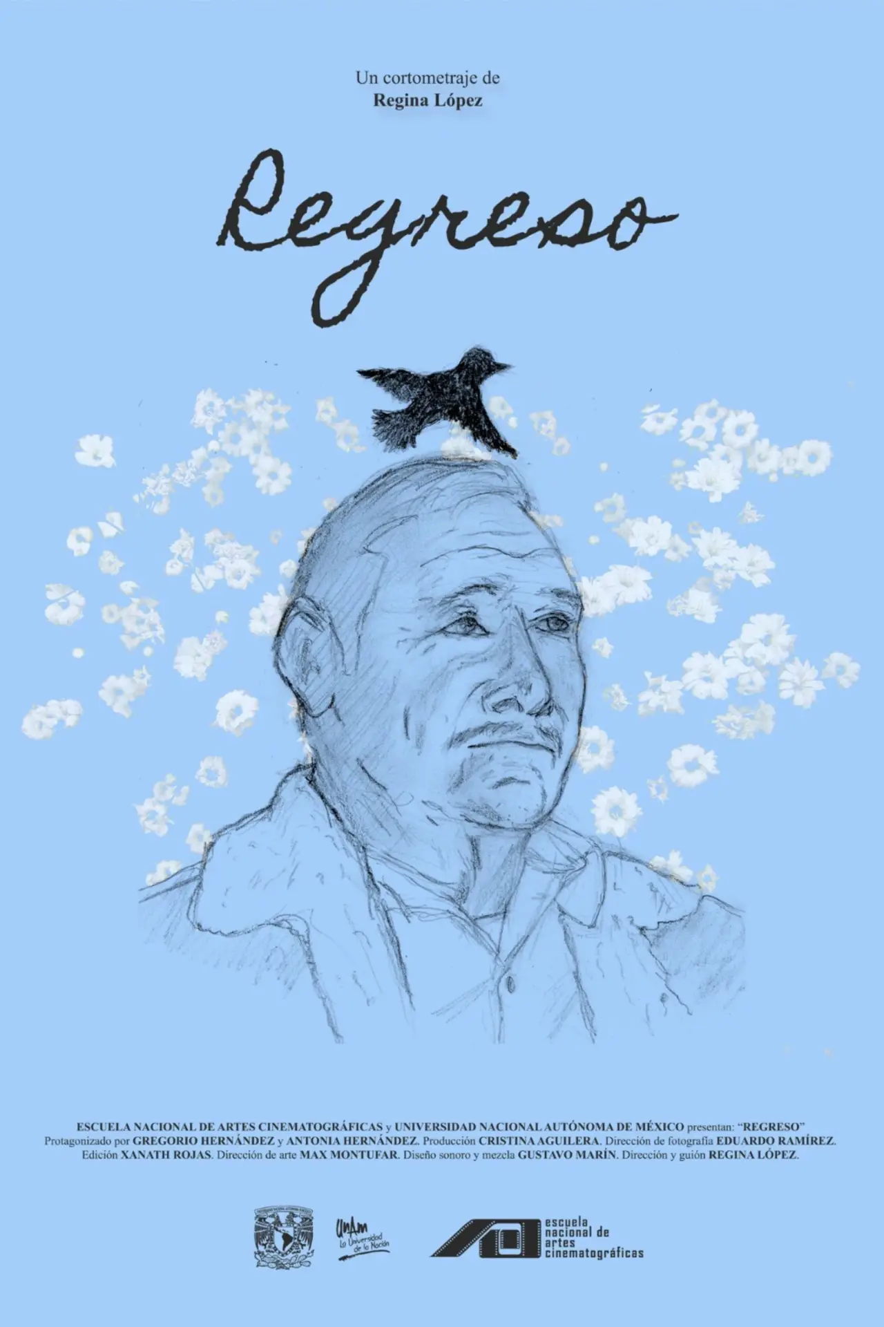 Постер до фільму "Regreso"