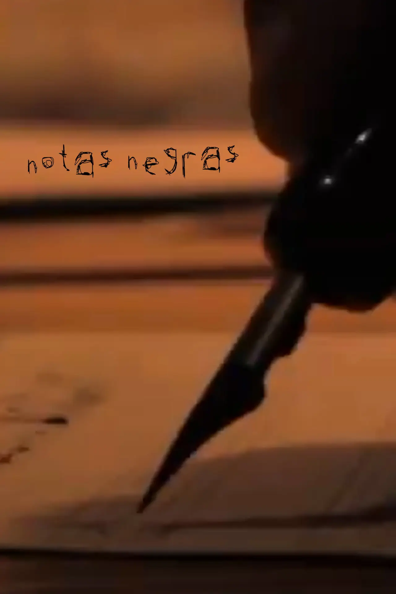 Постер до фільму "Notas negras"