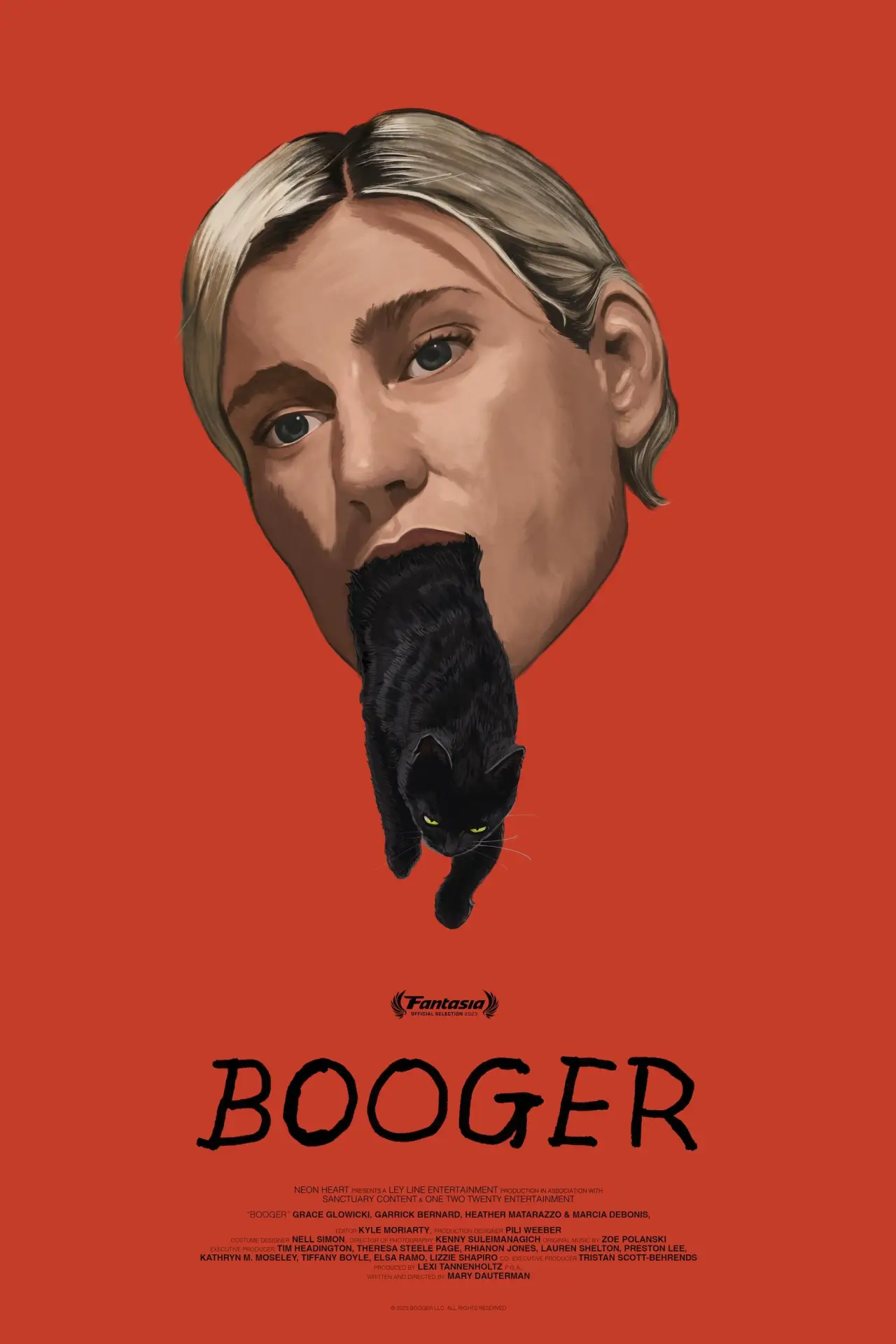 Постер до фільму "Booger"