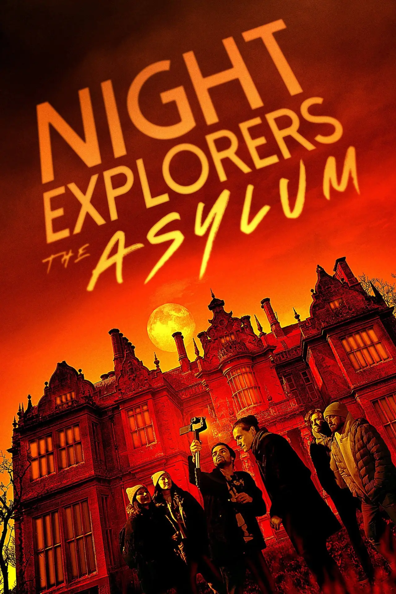 Постер до фільму "Night Explorers: The Asylum"