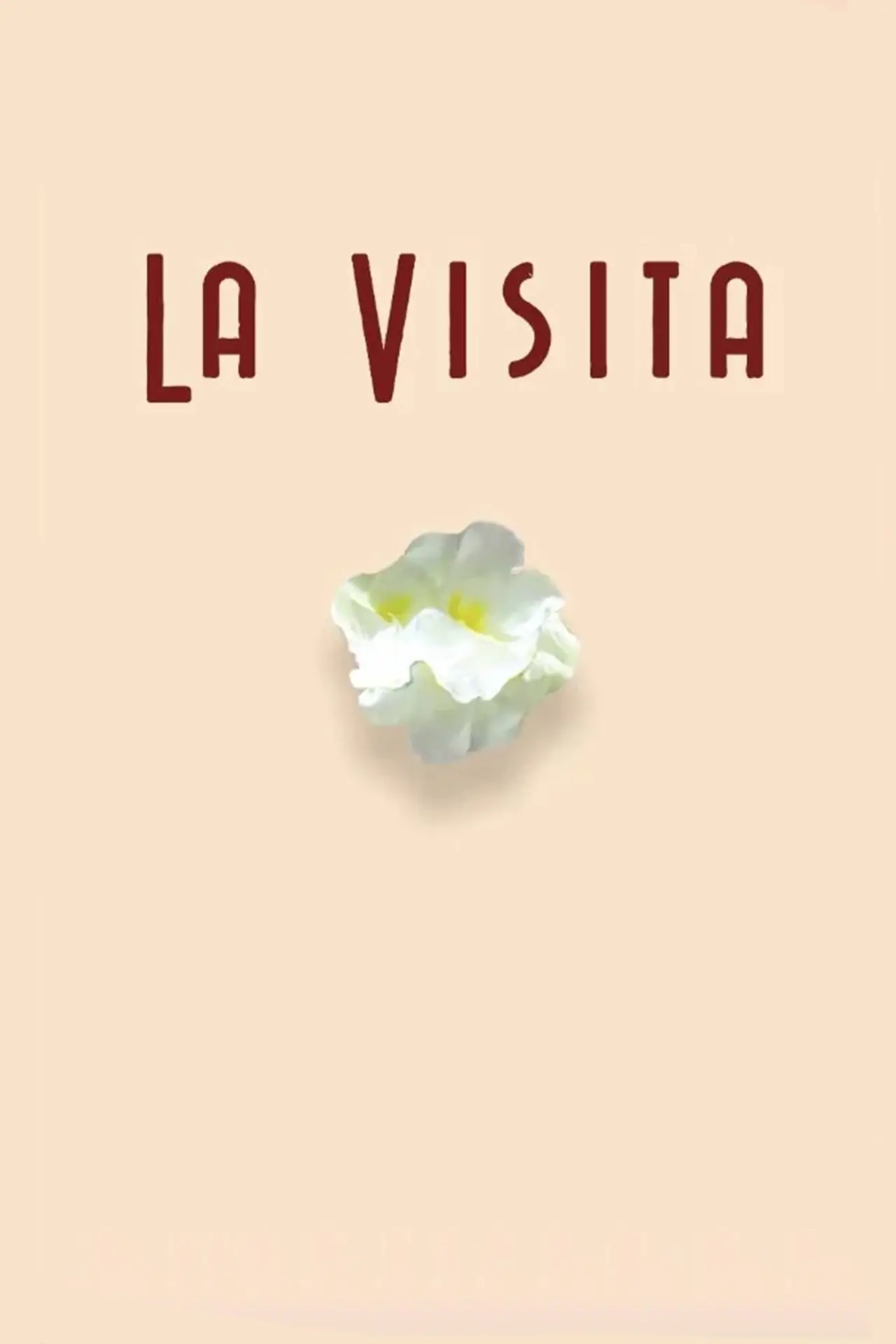 Постер до фільму "La visita"
