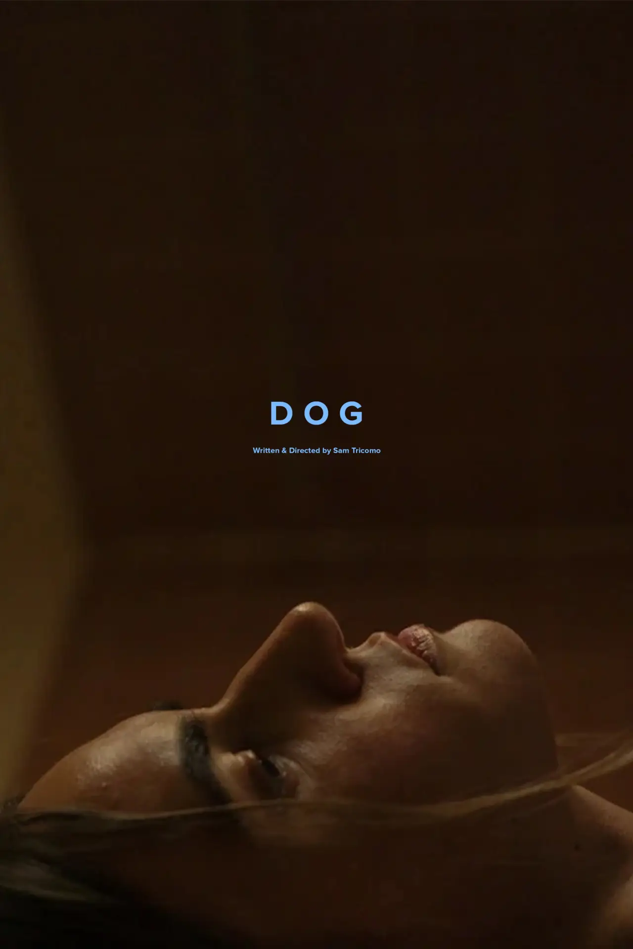 Постер до фільму "Dog"