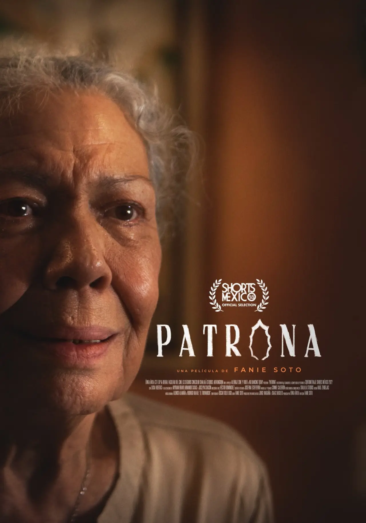 Постер до фільму "Patrona"