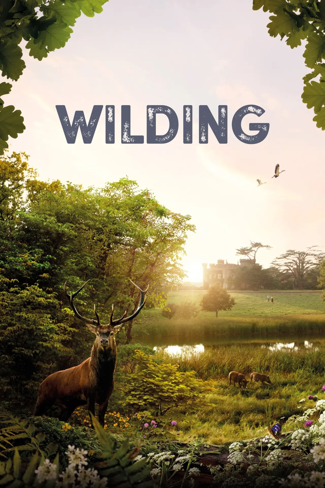 Постер до фільму "Wilding"