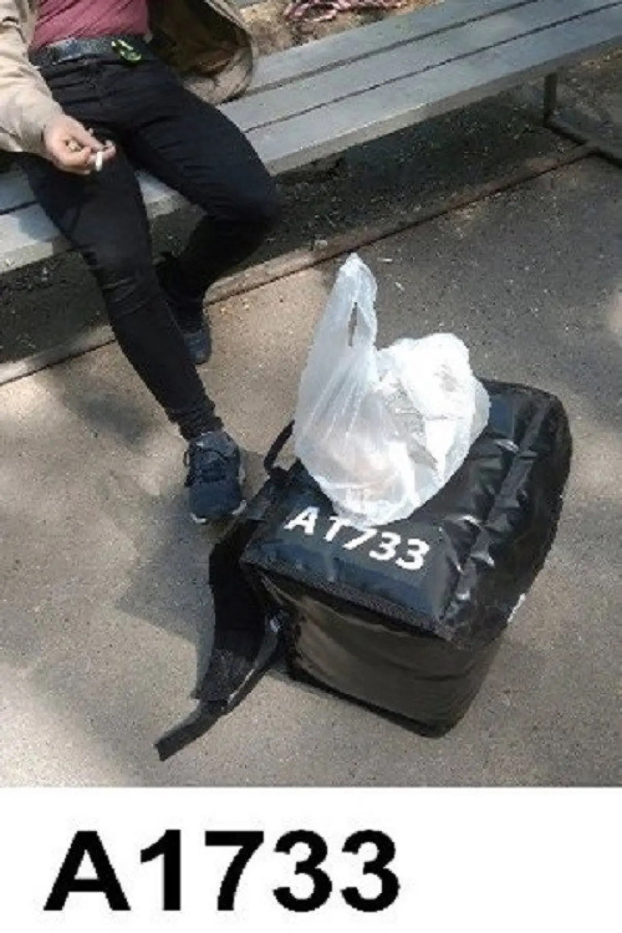 Постер до фільму "А1733"
