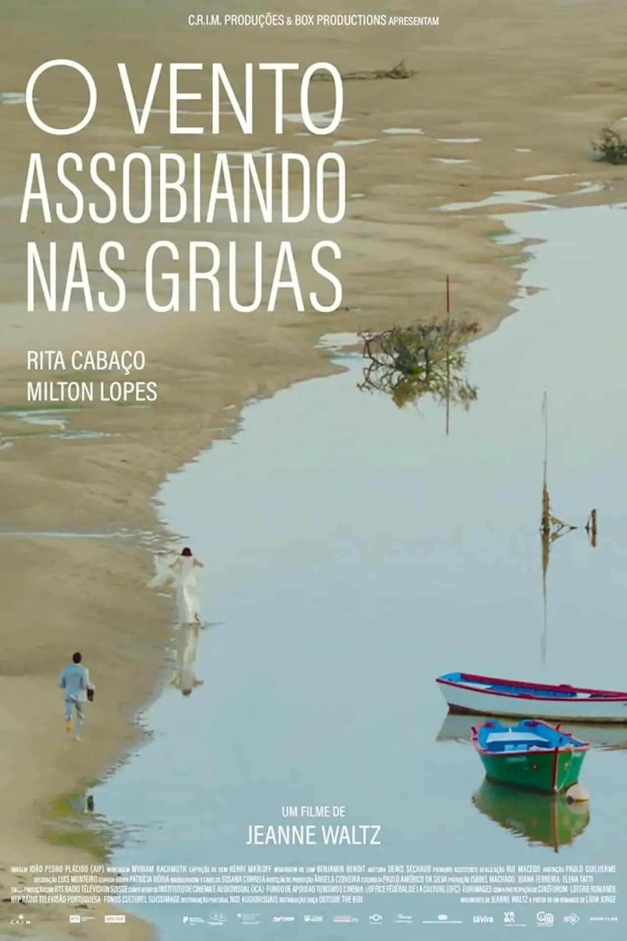 Постер до фільму "O Vento Assobiando nas Gruas"