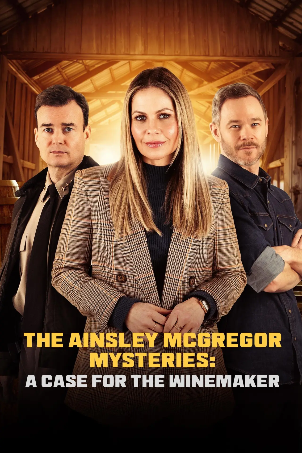 Постер до фільму "The Ainsley McGregor Mysteries: A Case for the Winemaker"
