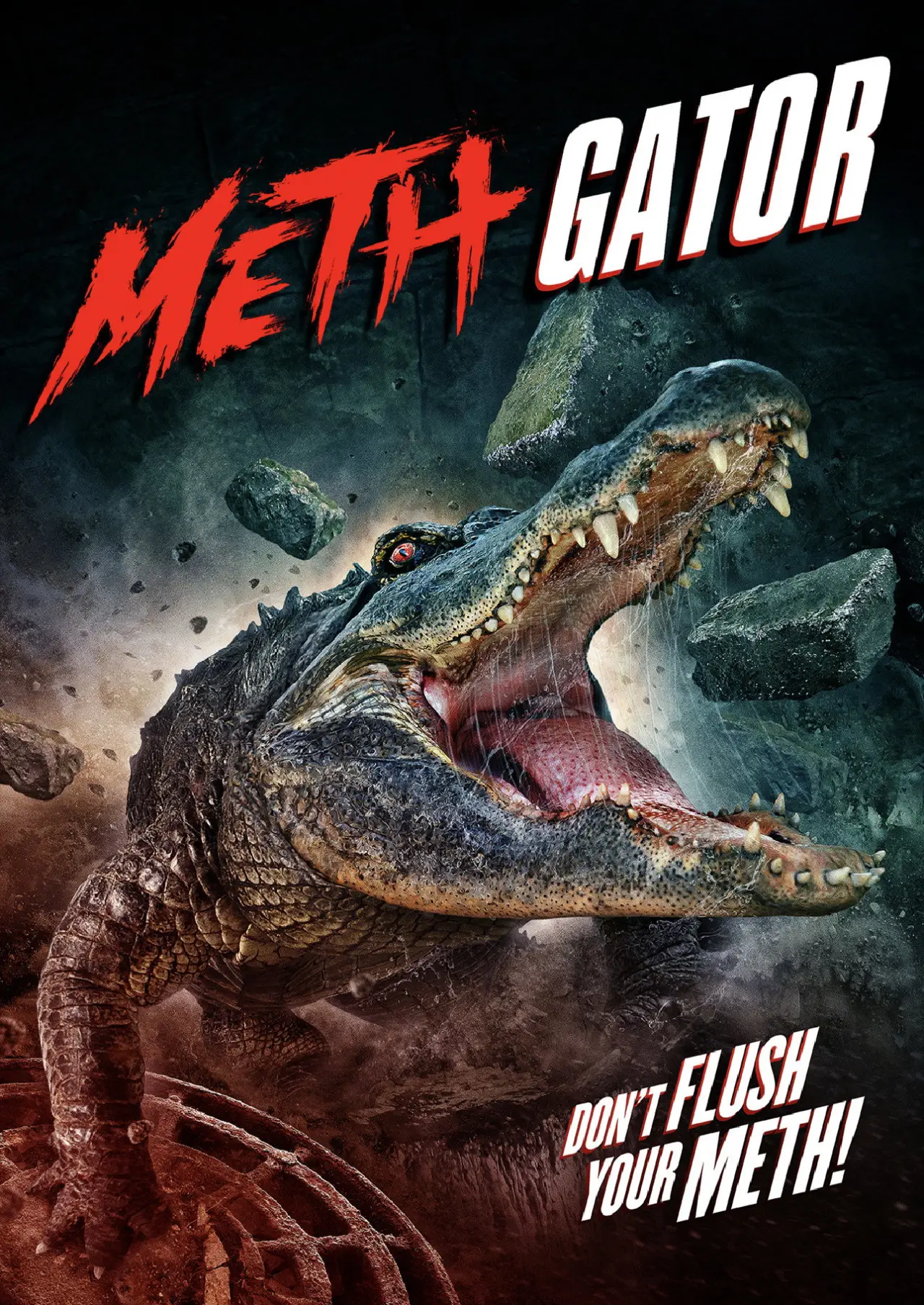 Постер до фільму "Meth Gator"