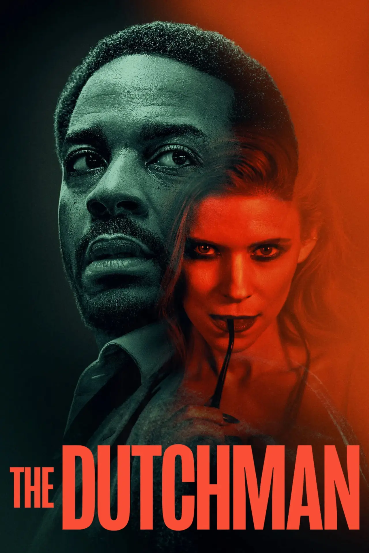 Постер до фільму "The Dutchman"