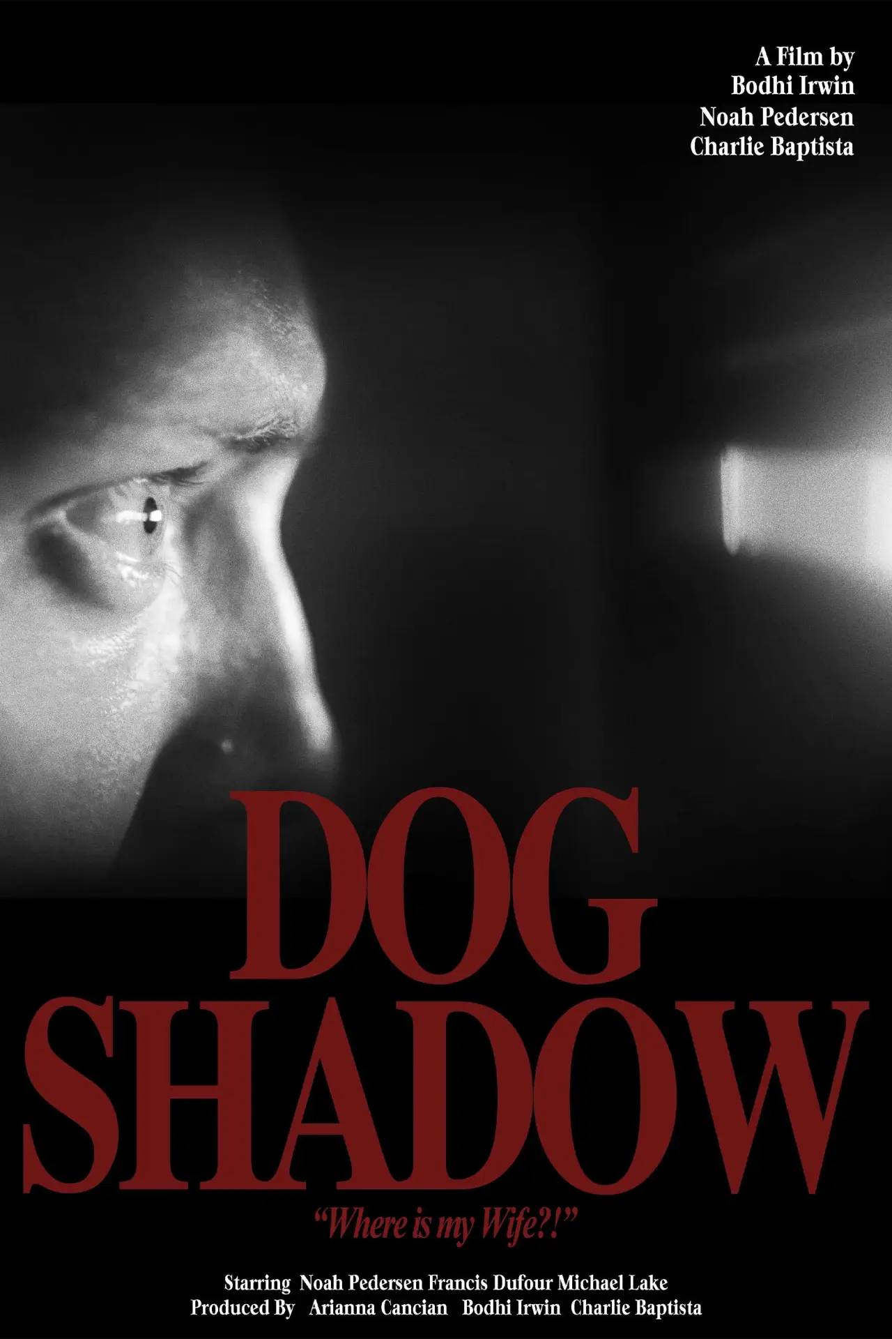 Постер до фільму "Dog Shadow"