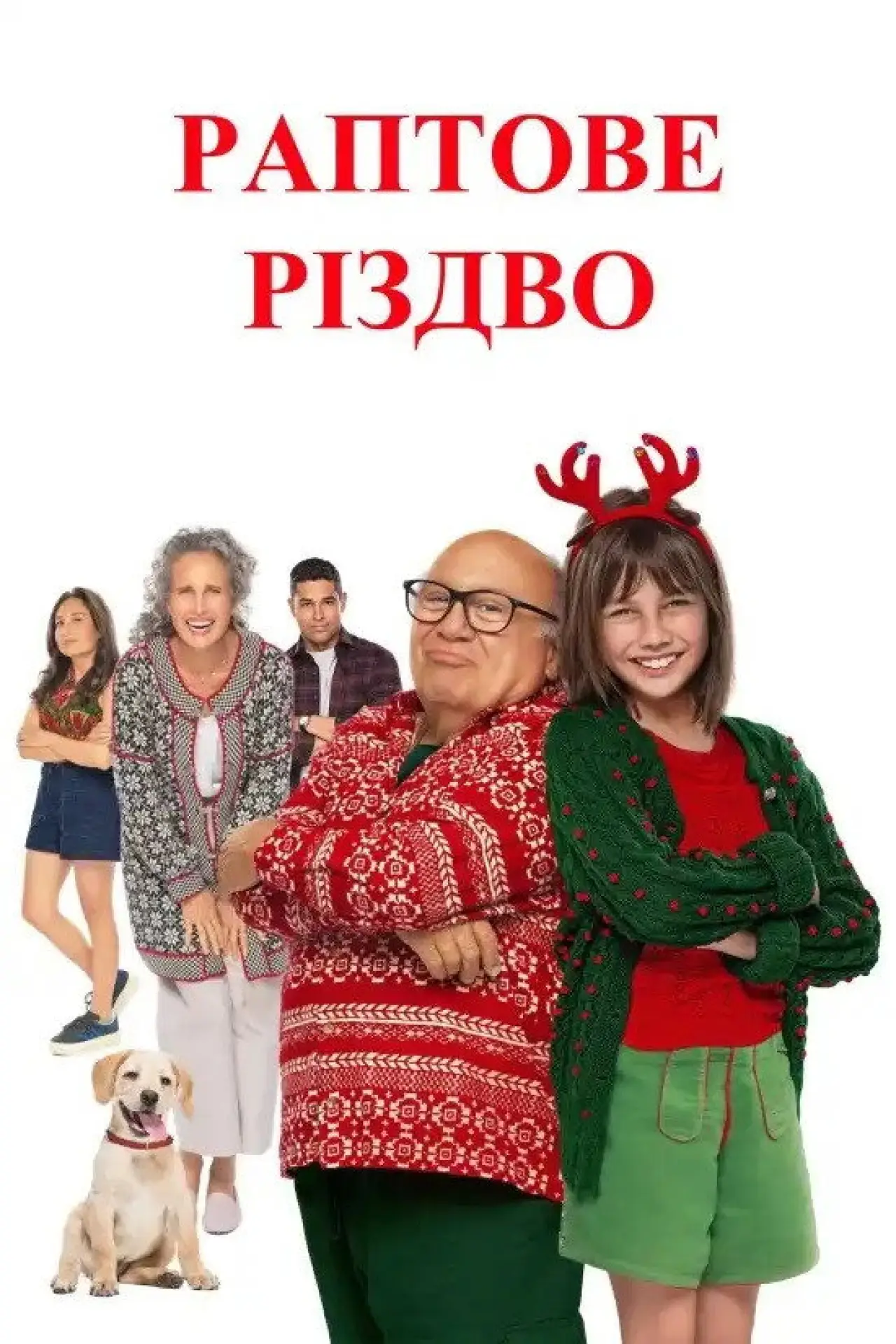 Постер до фільму "Раптове Різдво"