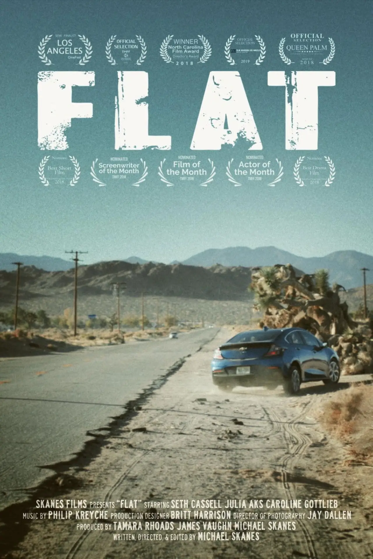Постер до фільму "Flat"