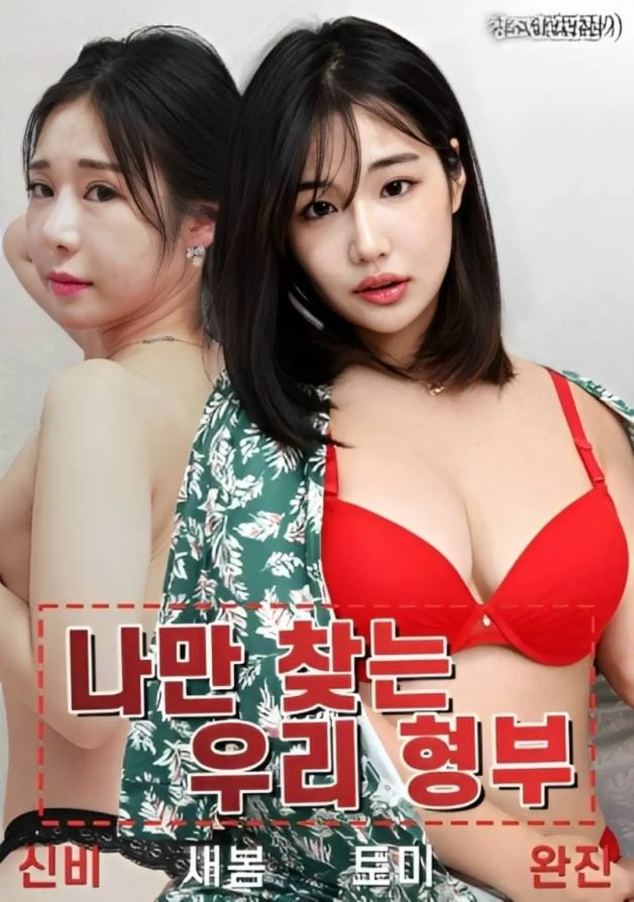 Постер до фільму "나만 찾는 우리 형부"