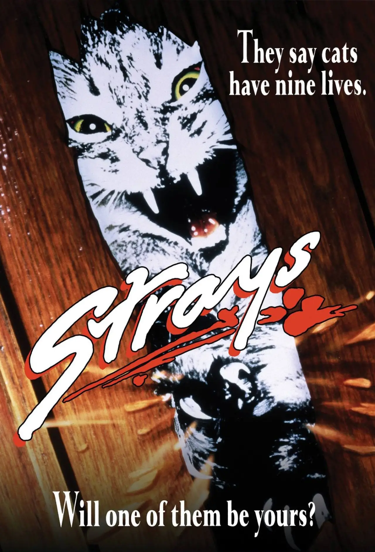Постер до фільму "Strays"