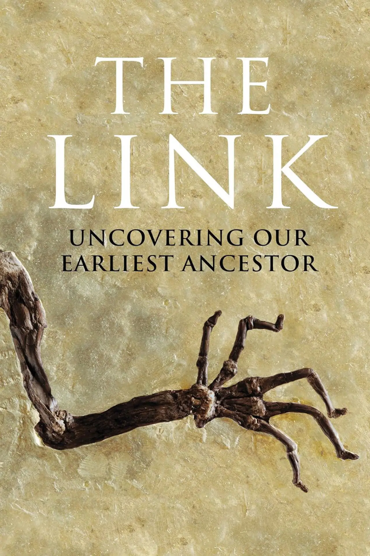 Постер до фільму "Uncovering Our Earliest Ancestor: The Link"