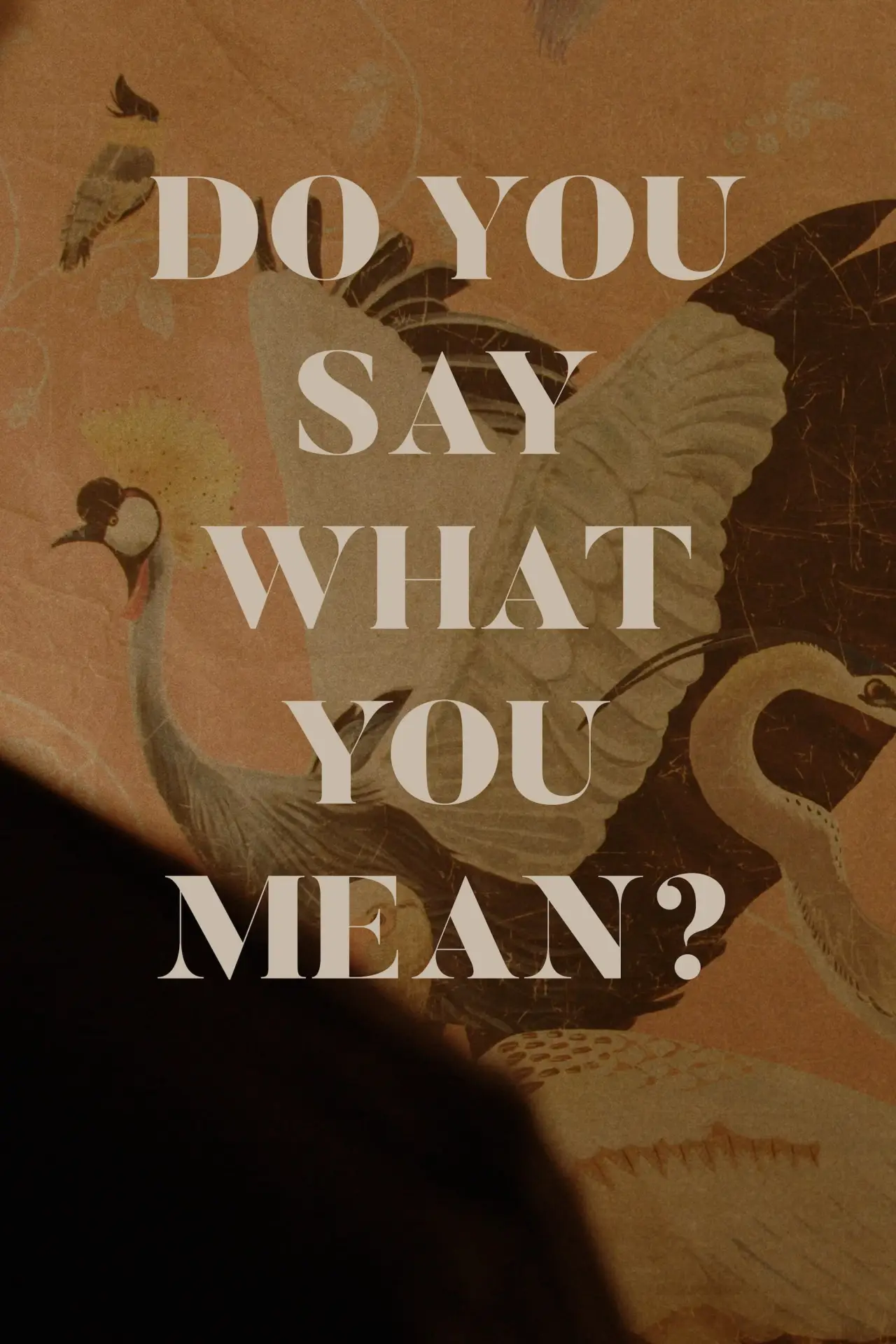 Постер до фільму "Do You Say What You Mean?"