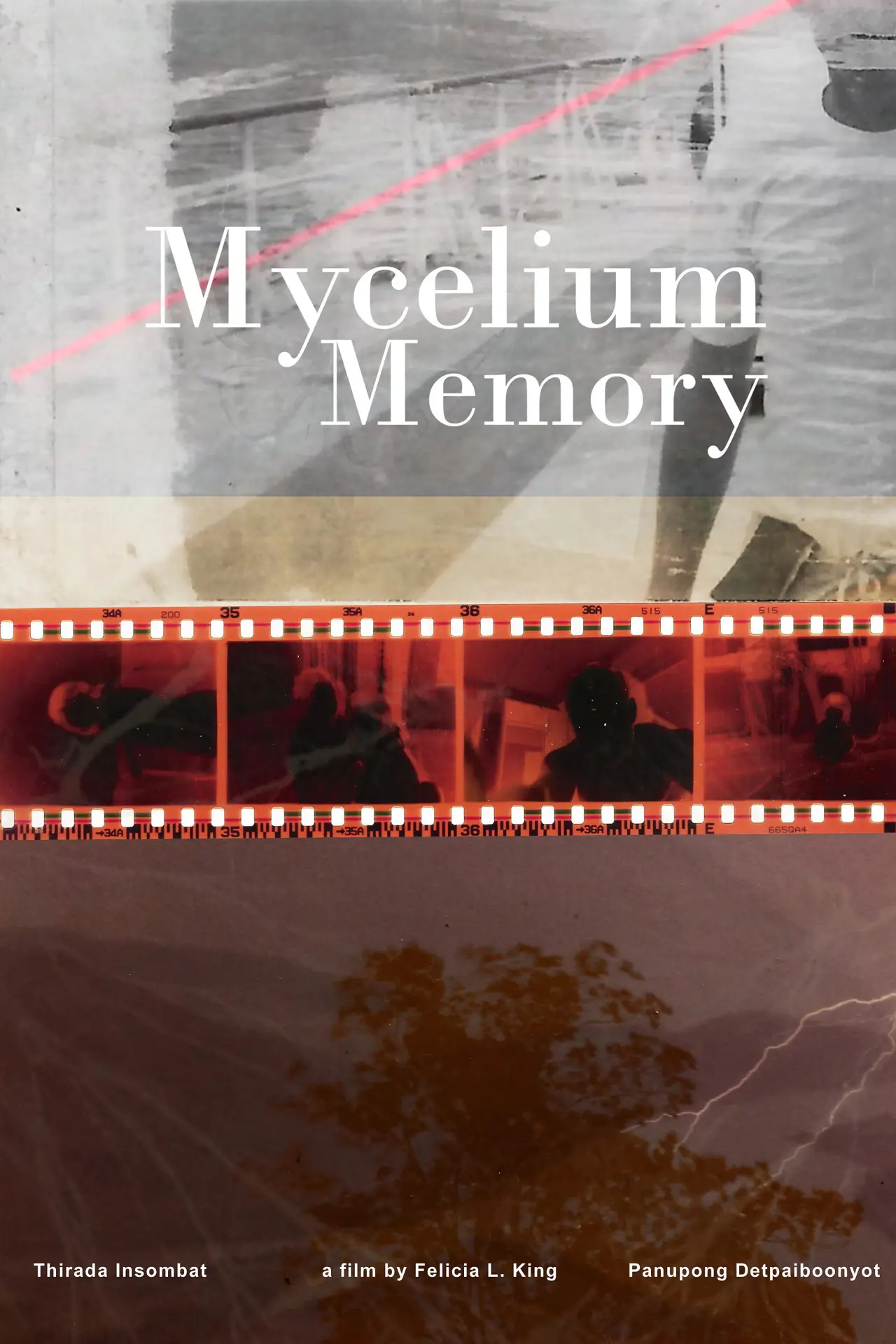 Постер до фільму "Mycelium Memory"