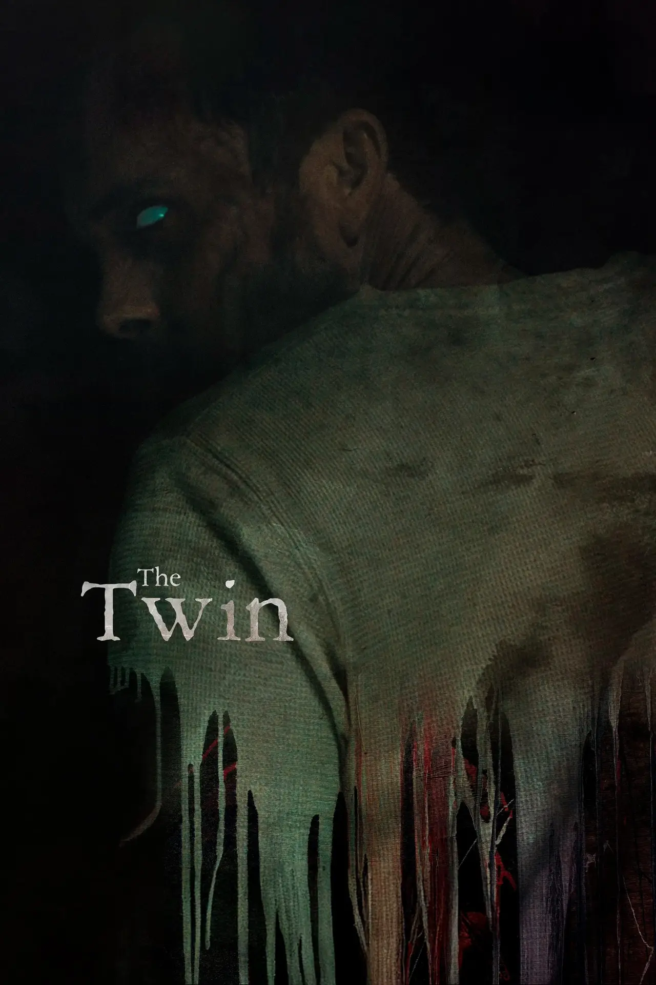 Постер до фільму "The Twin"