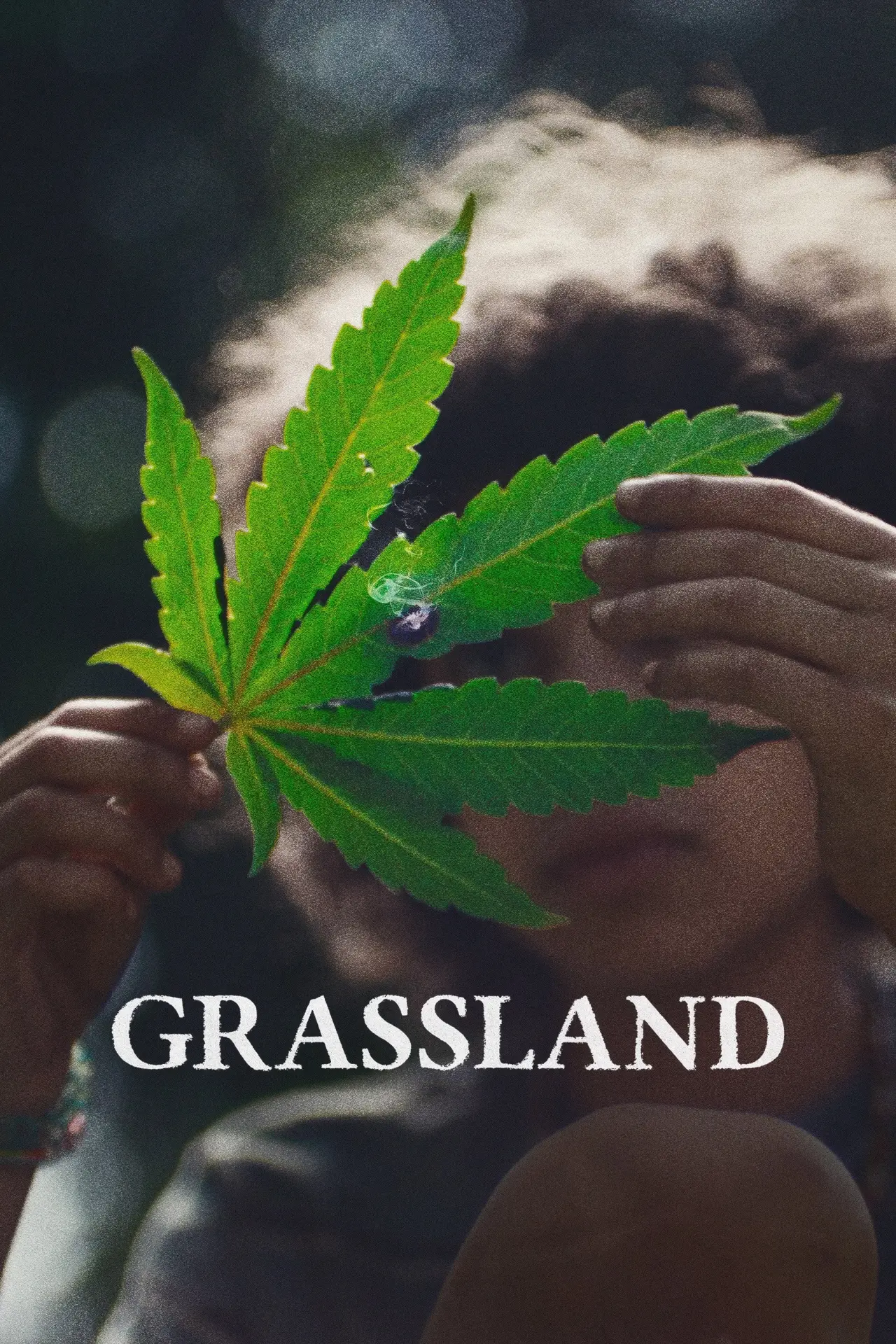 Постер до фільму "Grassland"