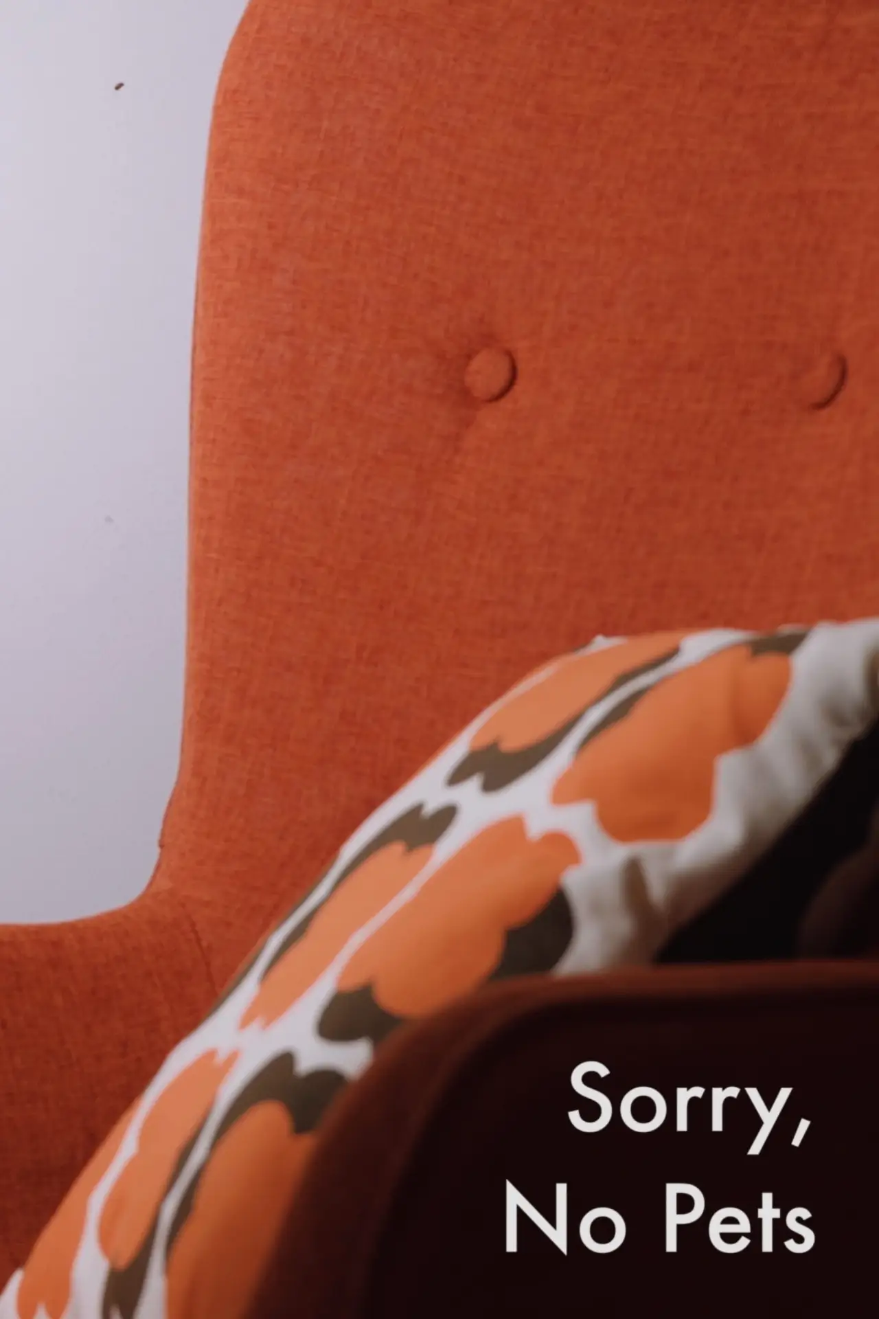 Постер до фільму "Sorry, No Pets"