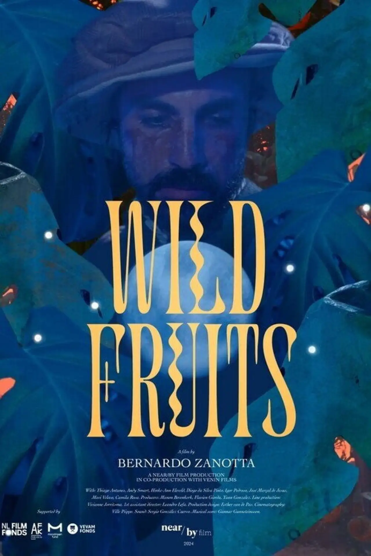 Постер до фільму "Wild Fruits"
