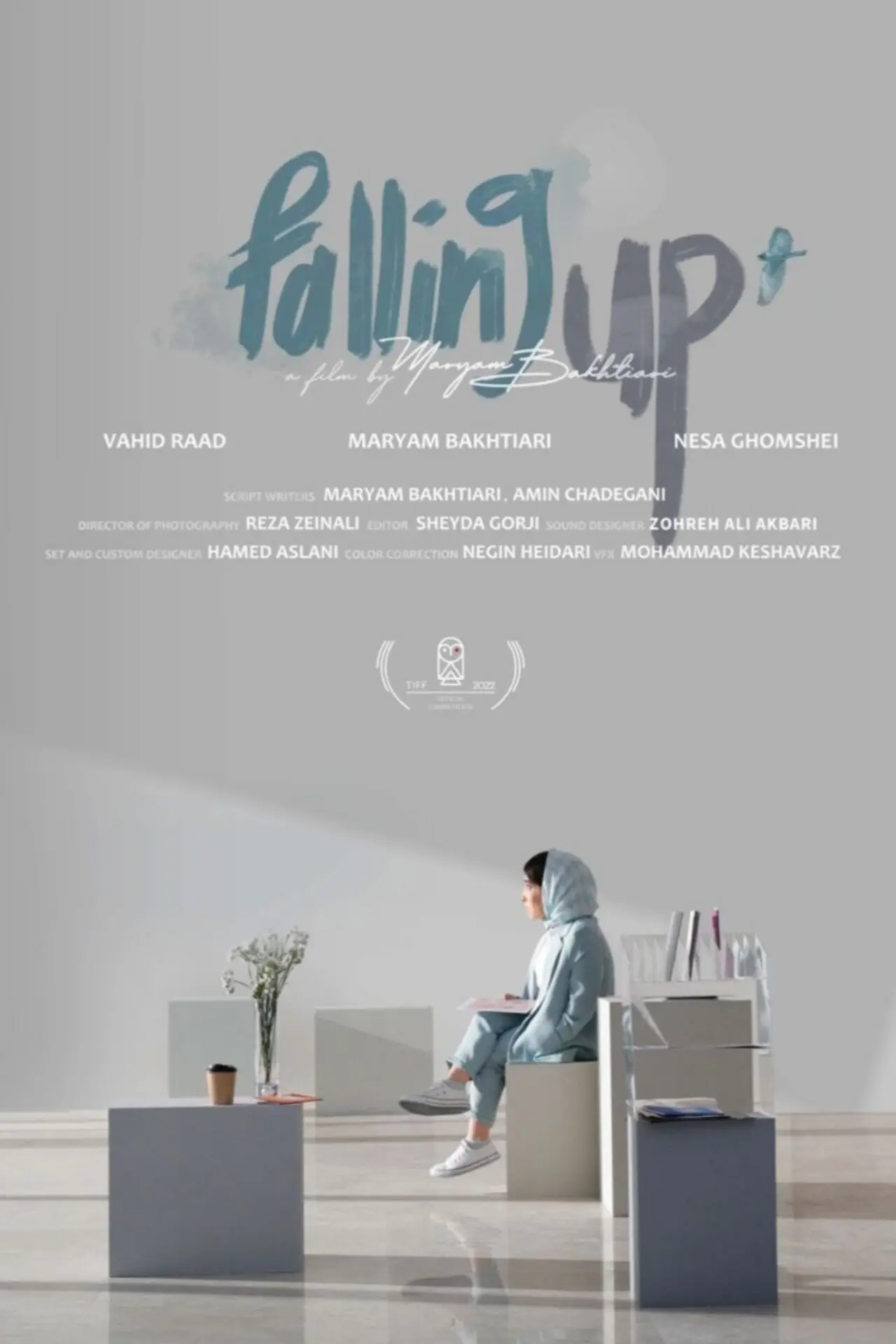 Постер до фільму "Falling Up"