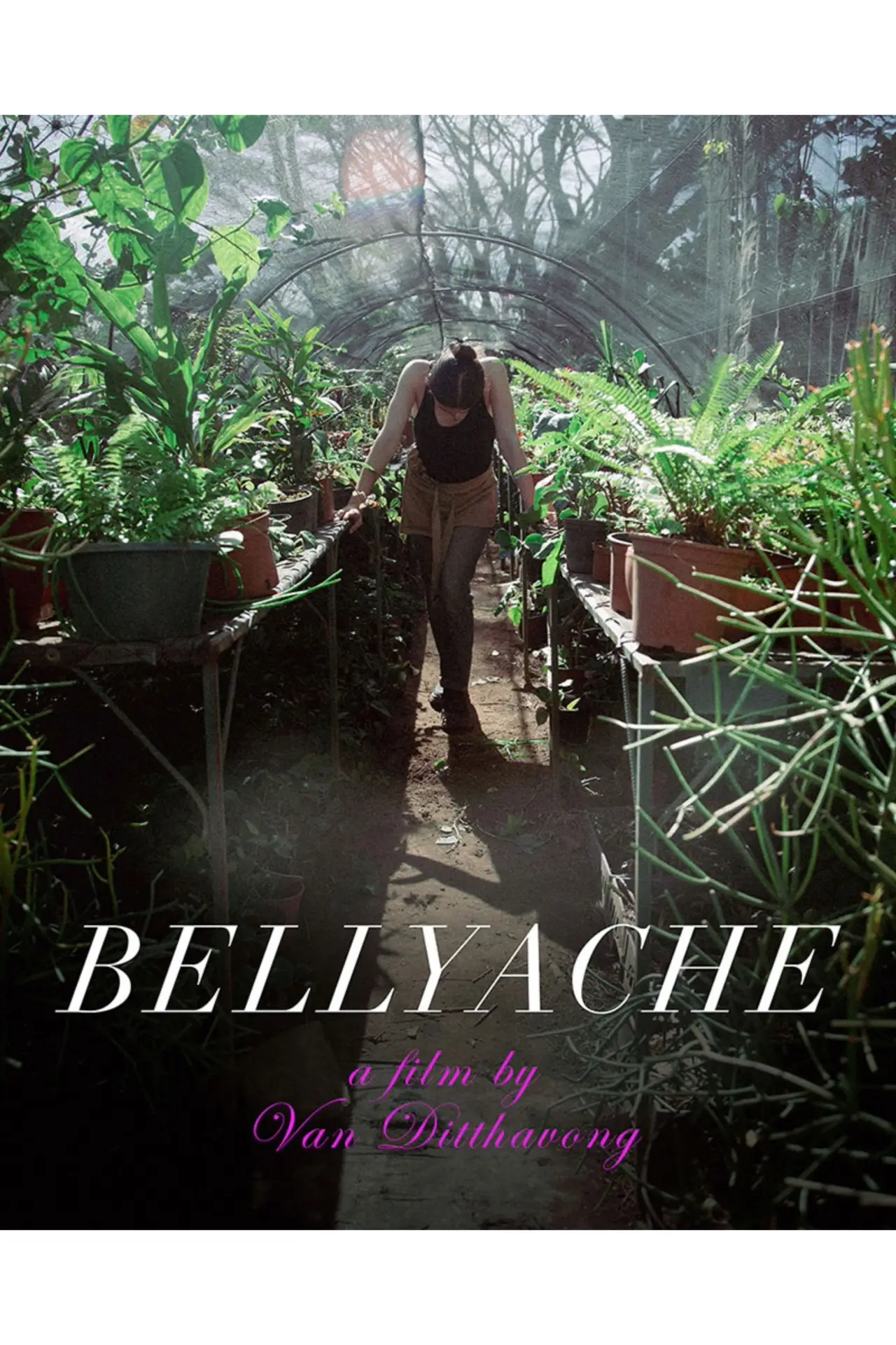 Постер до фільму "Bellyache"