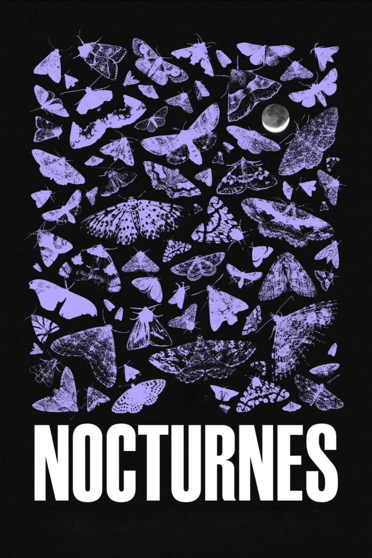 Постер до фільму "Nocturnes"