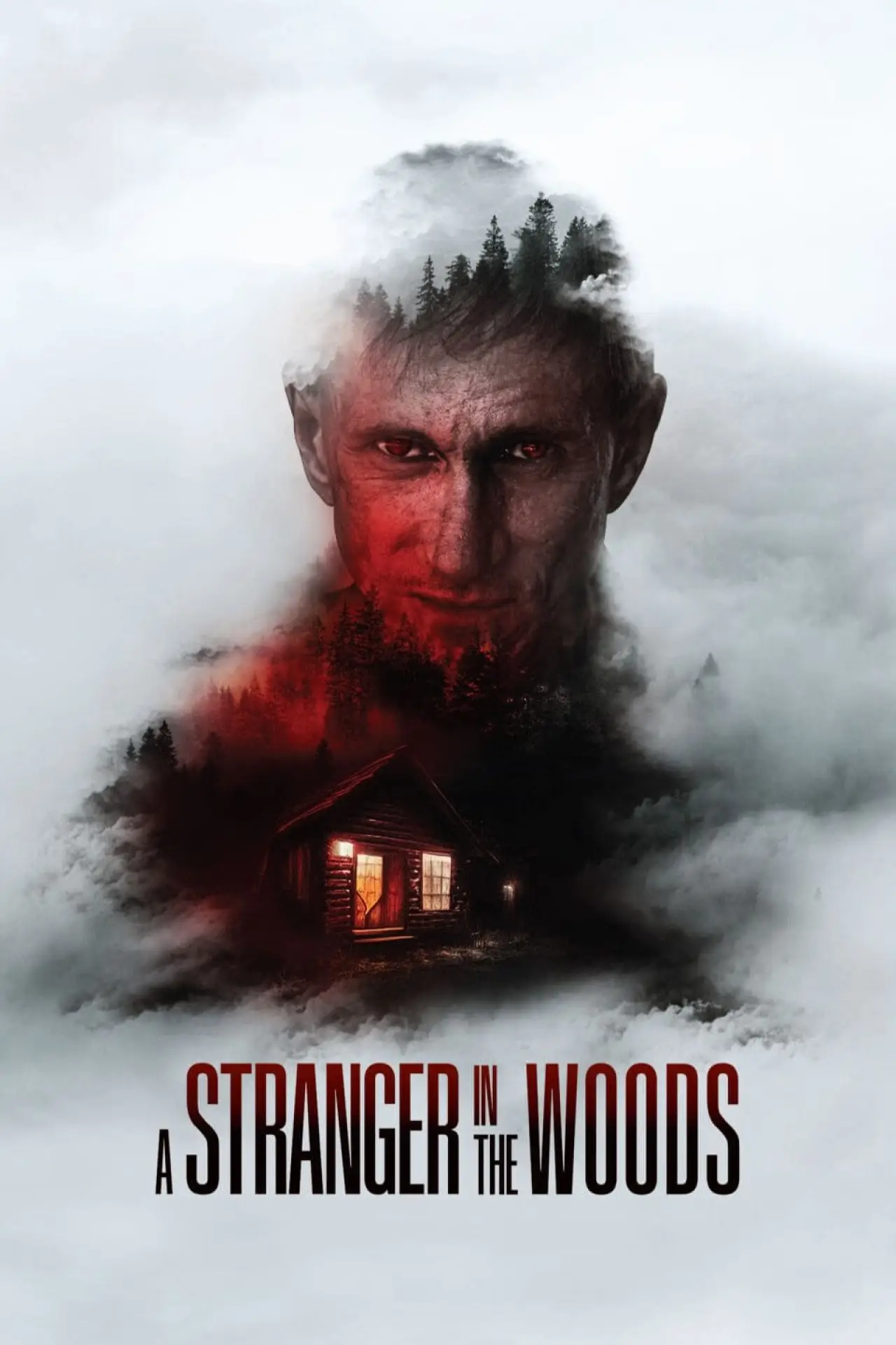 Постер до фільму "A Stranger in the Woods"