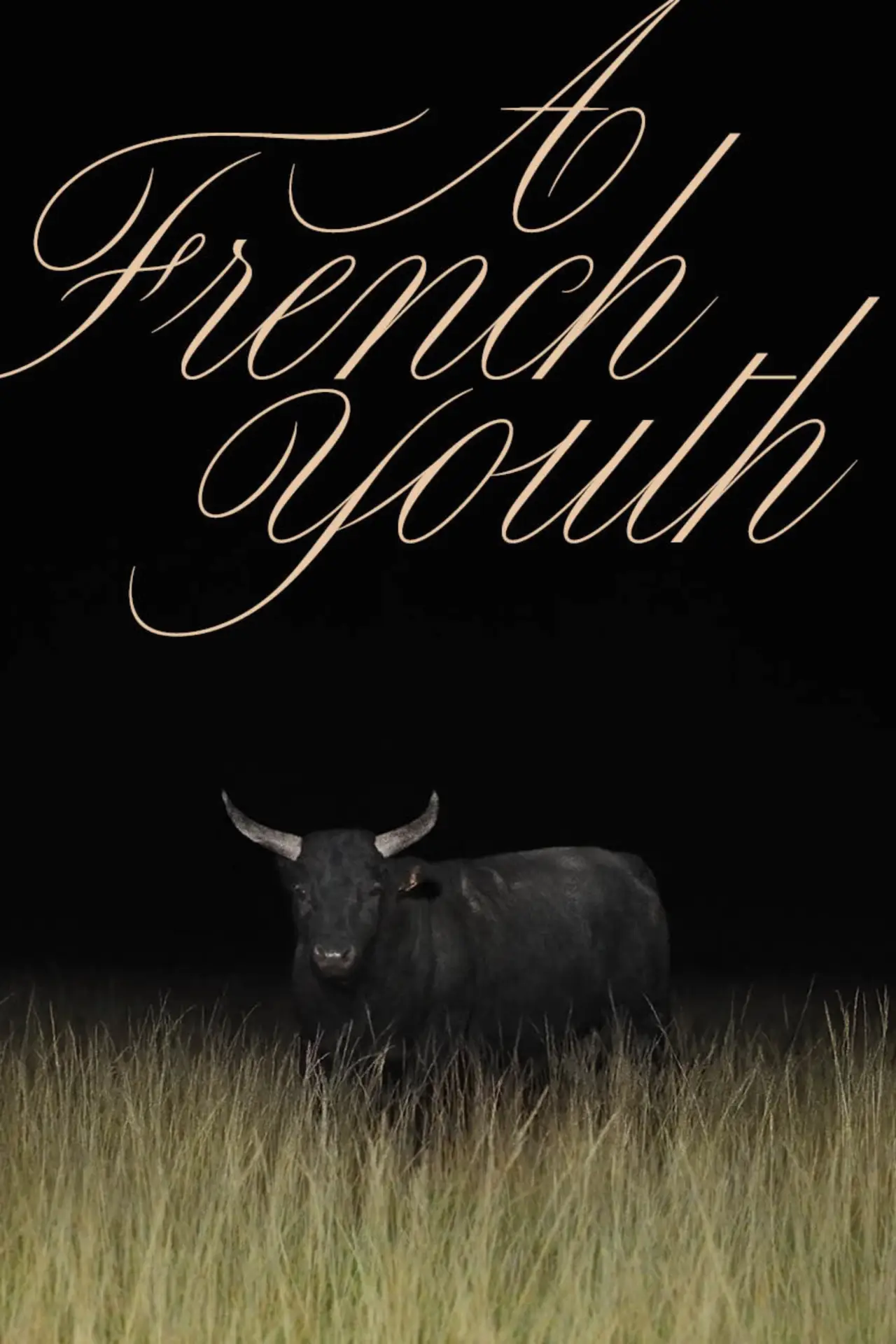 Постер до фільму "Une jeunesse française"