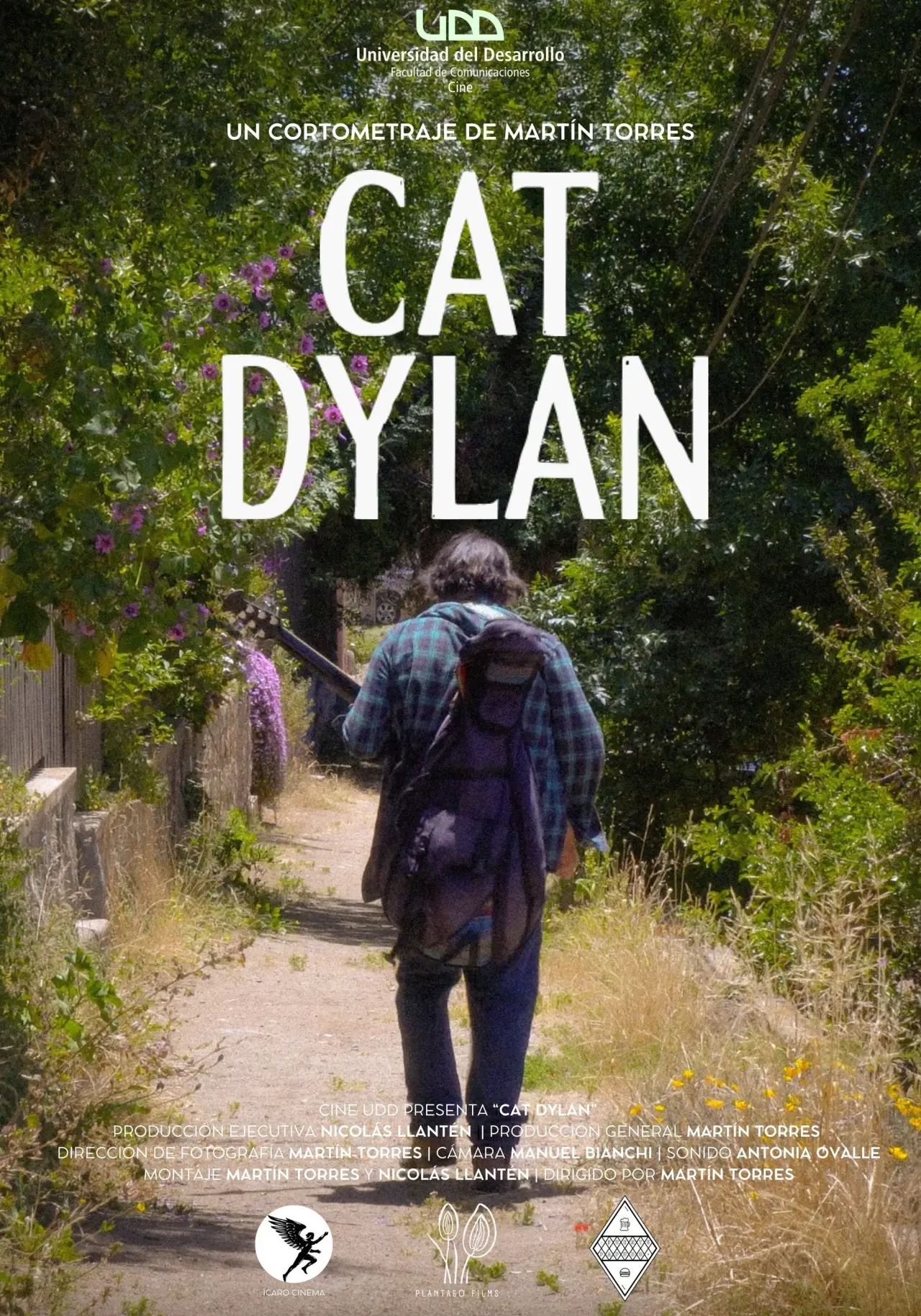 Постер до фільму "Cat Dylan"
