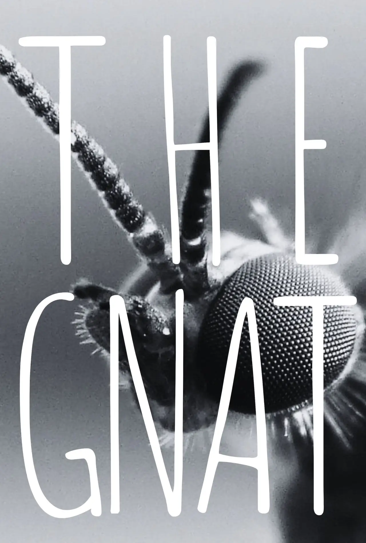 Постер до фільму "The Gnat"