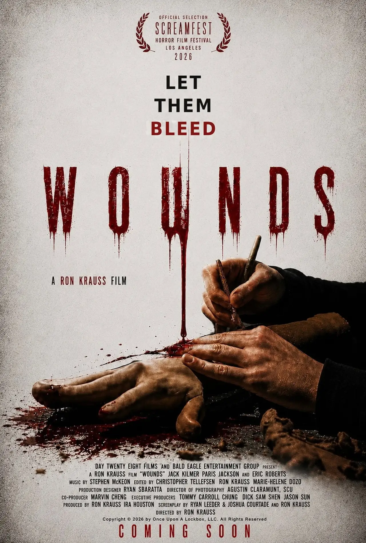Постер до фільму "Wounds"