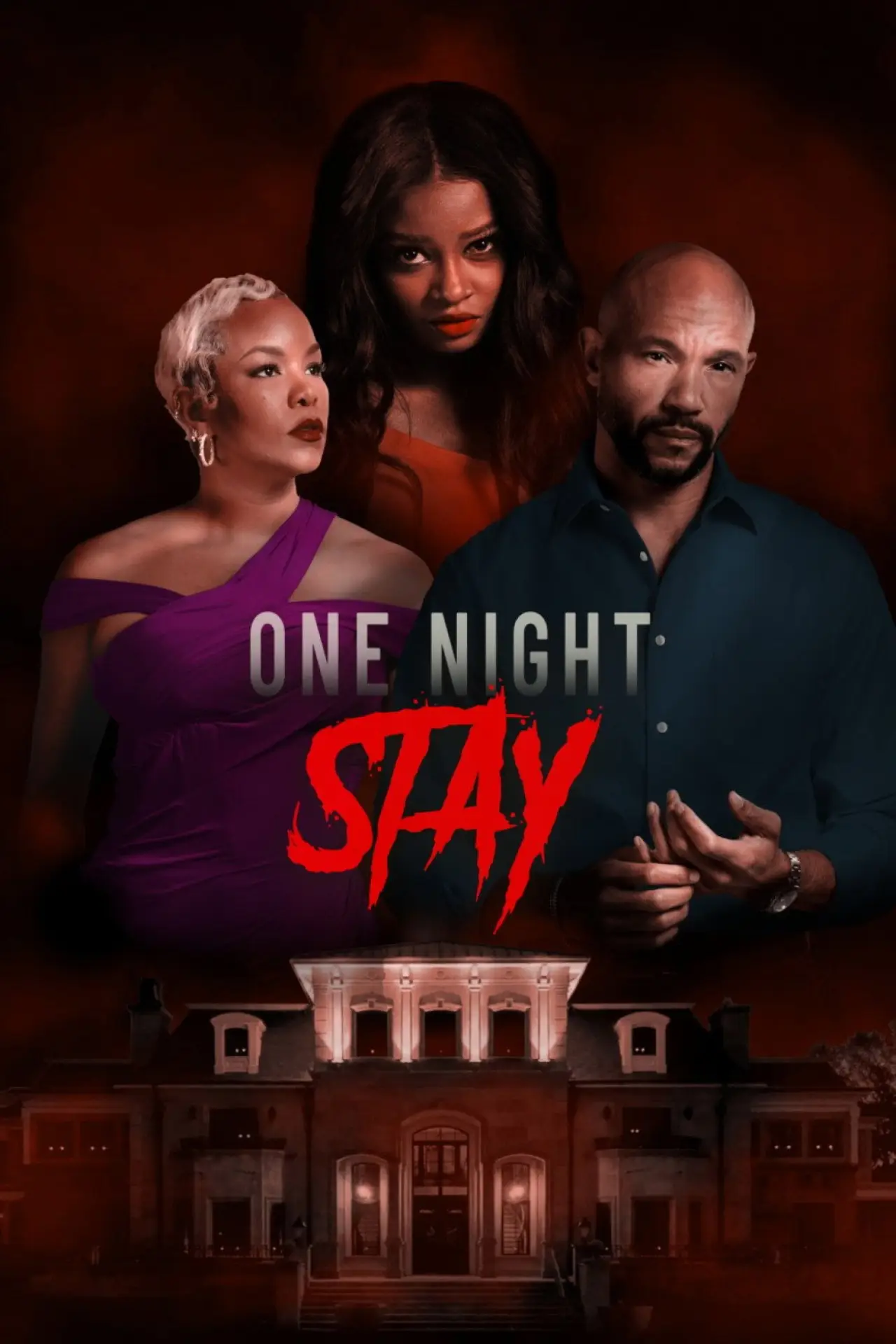 Постер до фільму "One Night Stay"