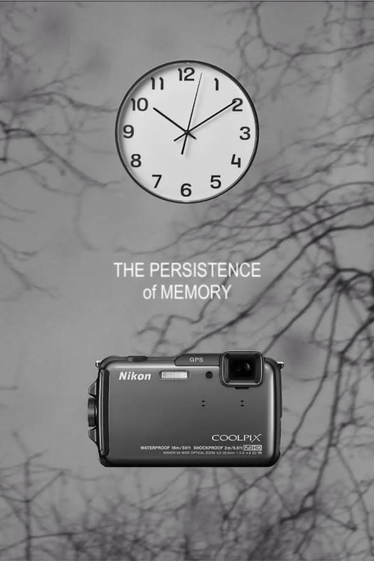 Постер до фільму "The Persistence of Memory"