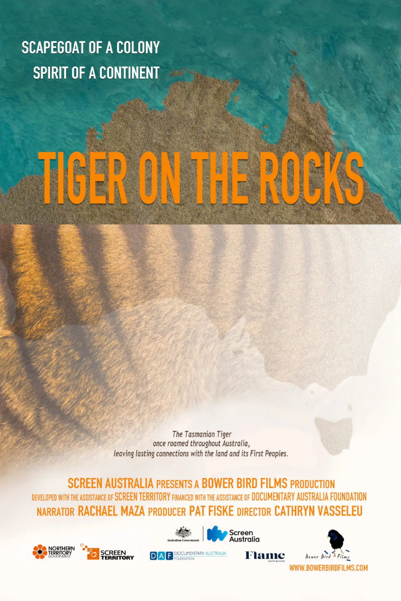 Постер до фільму "Tiger on the Rocks"