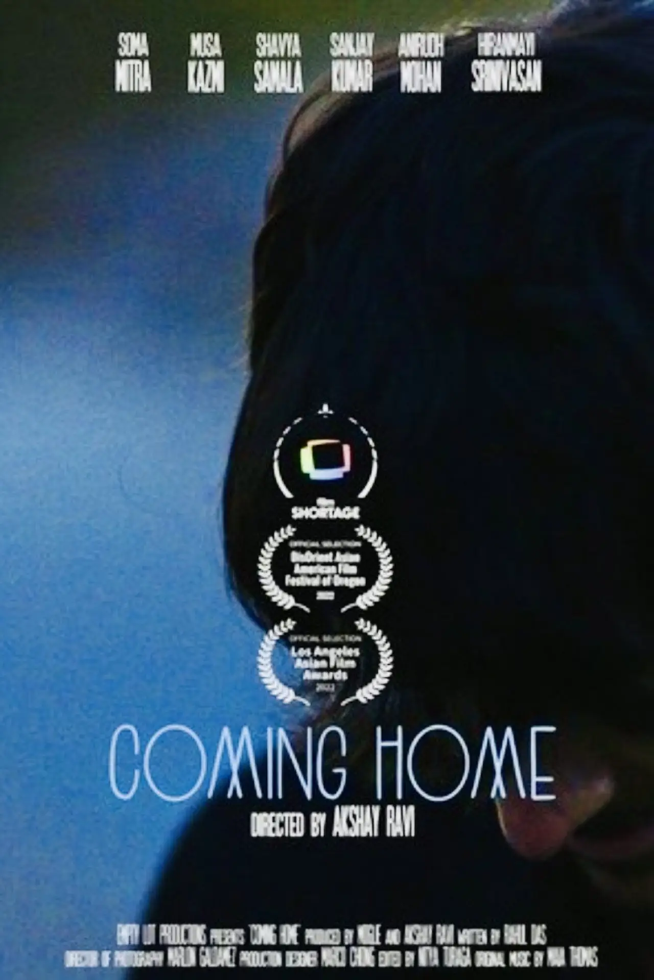 Постер до фільму "Coming Home"