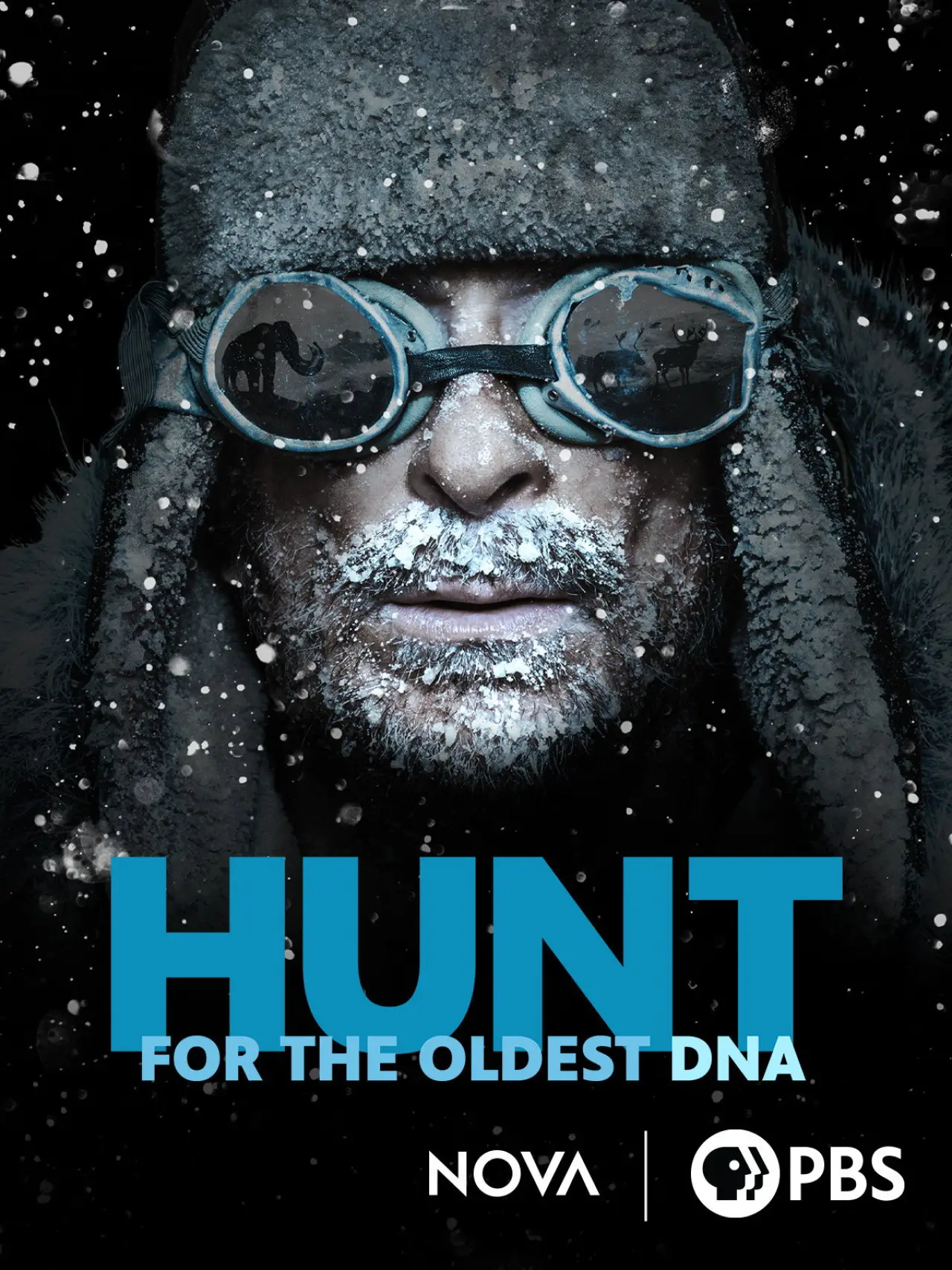 Постер до фільму "The Hunt for the Oldest DNA"