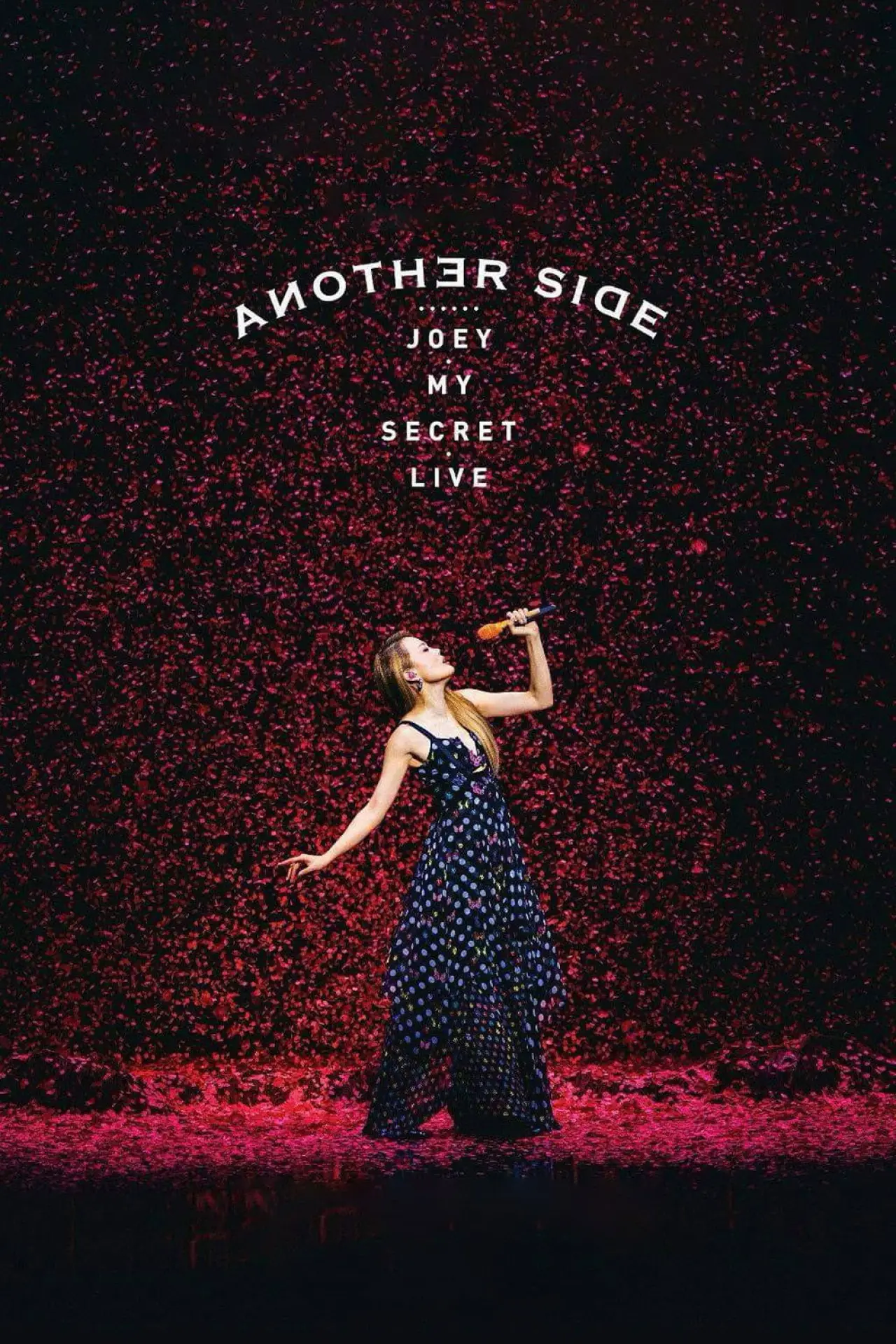 Постер до фільму "Another Side Joey My Secret Live"