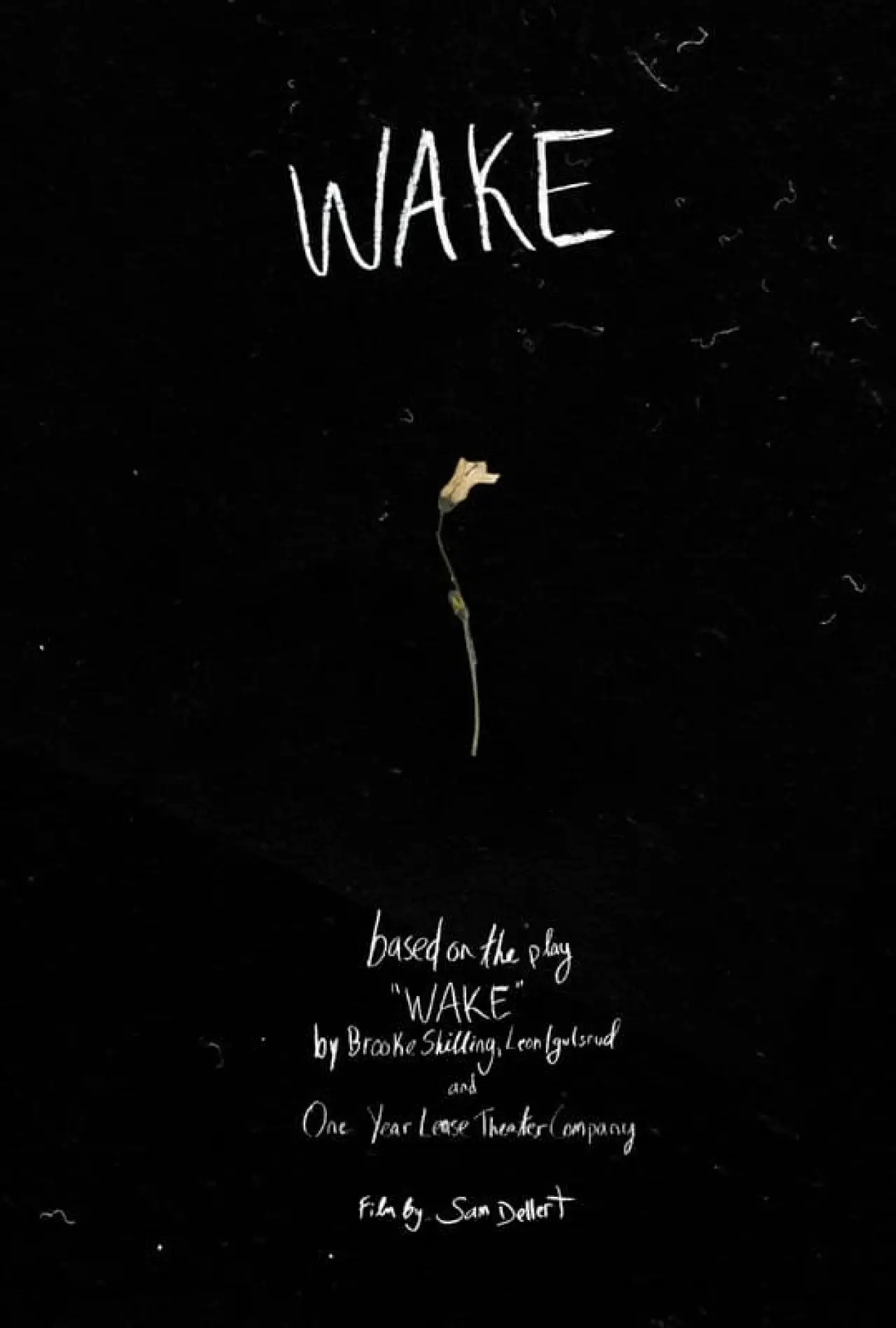 Постер до фільму "Wake"