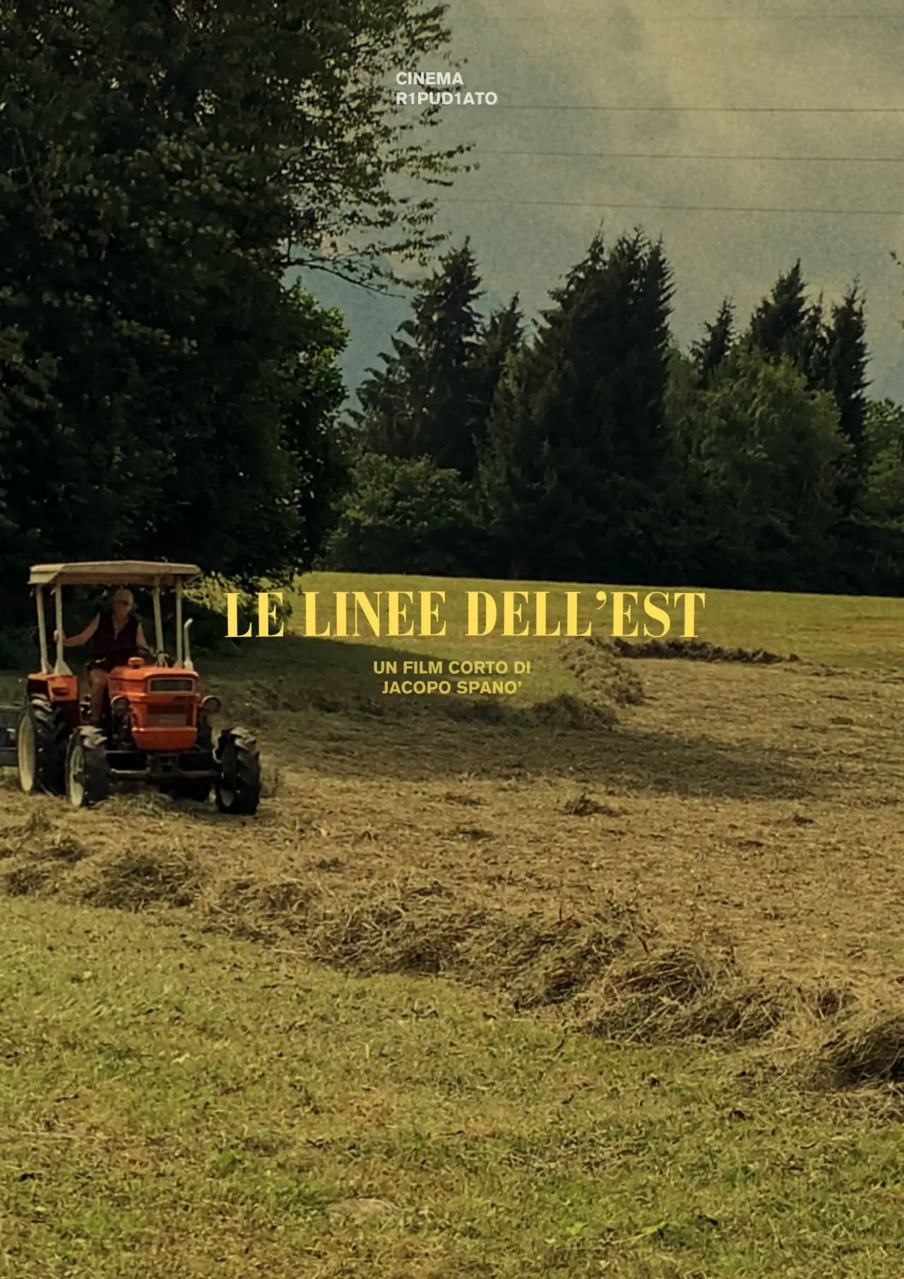 Постер до фільму "Le linee dell