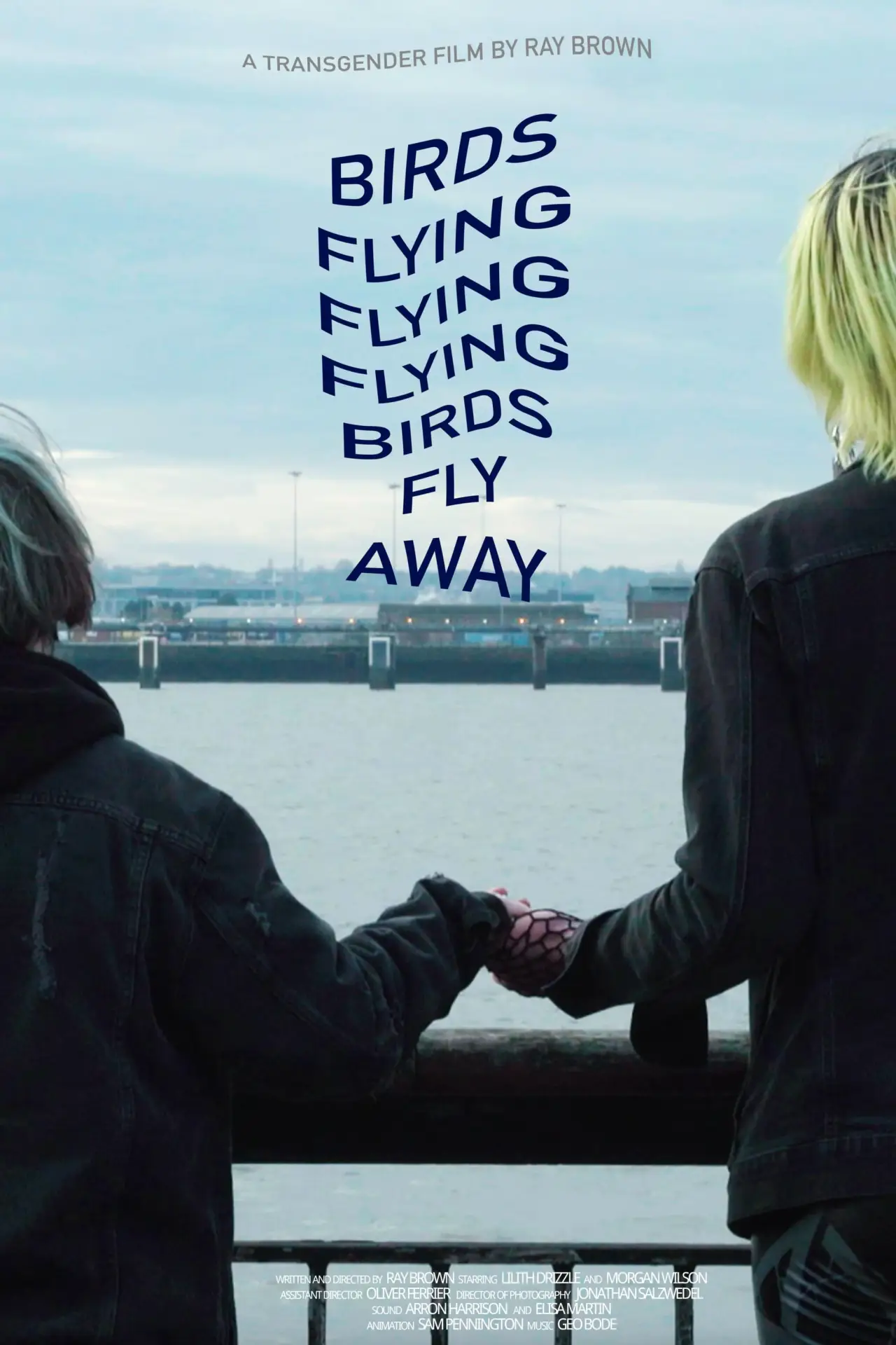 Постер до фільму "Birds Flying Flying Flying Birds Fly Away"