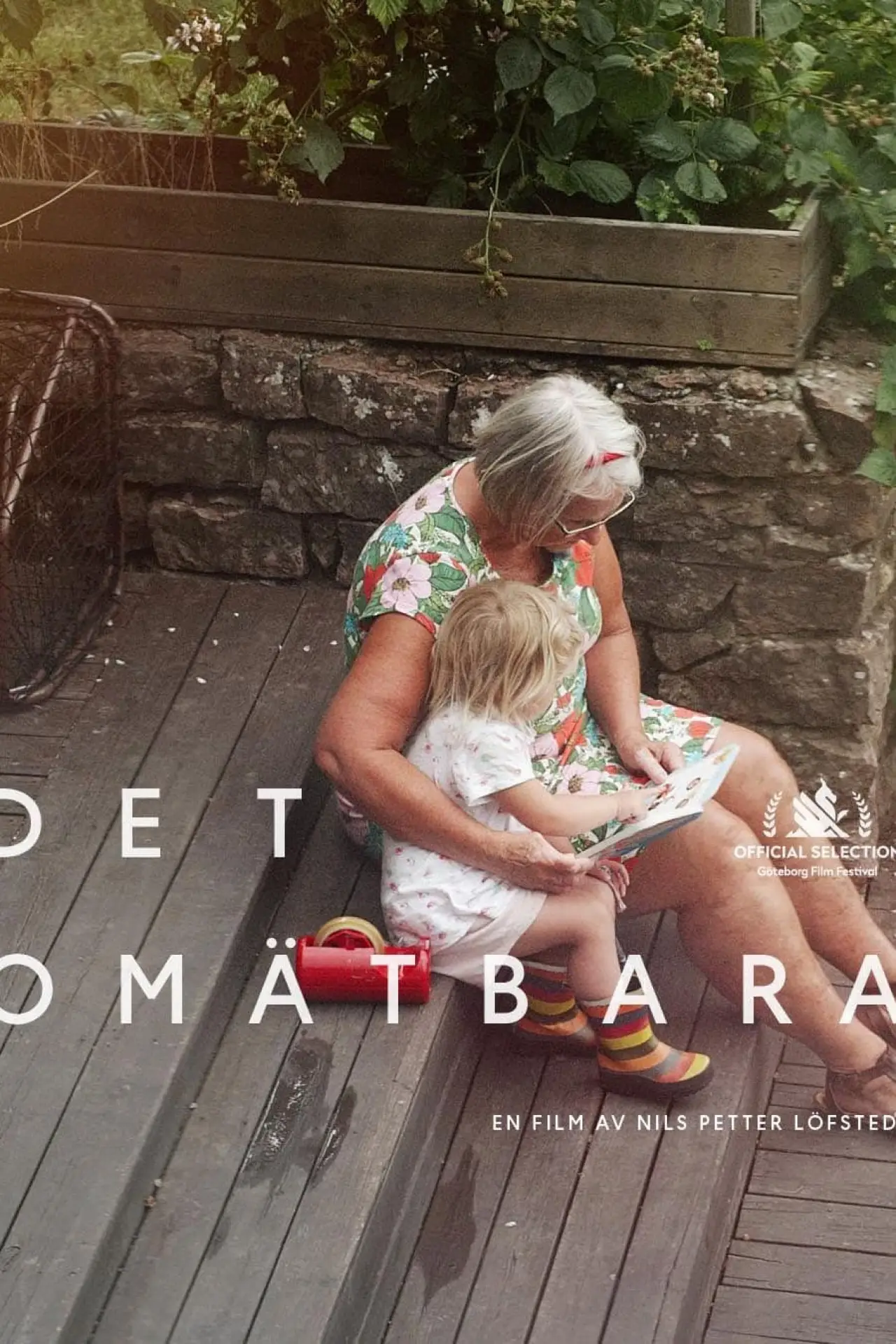 Постер до фільму "Det omätbara"