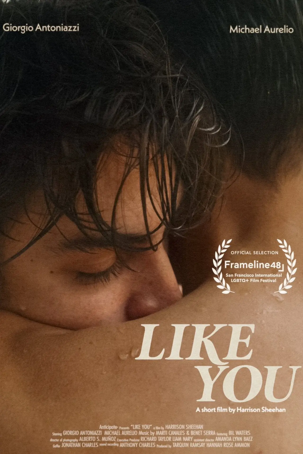 Постер до фільму "Like You"