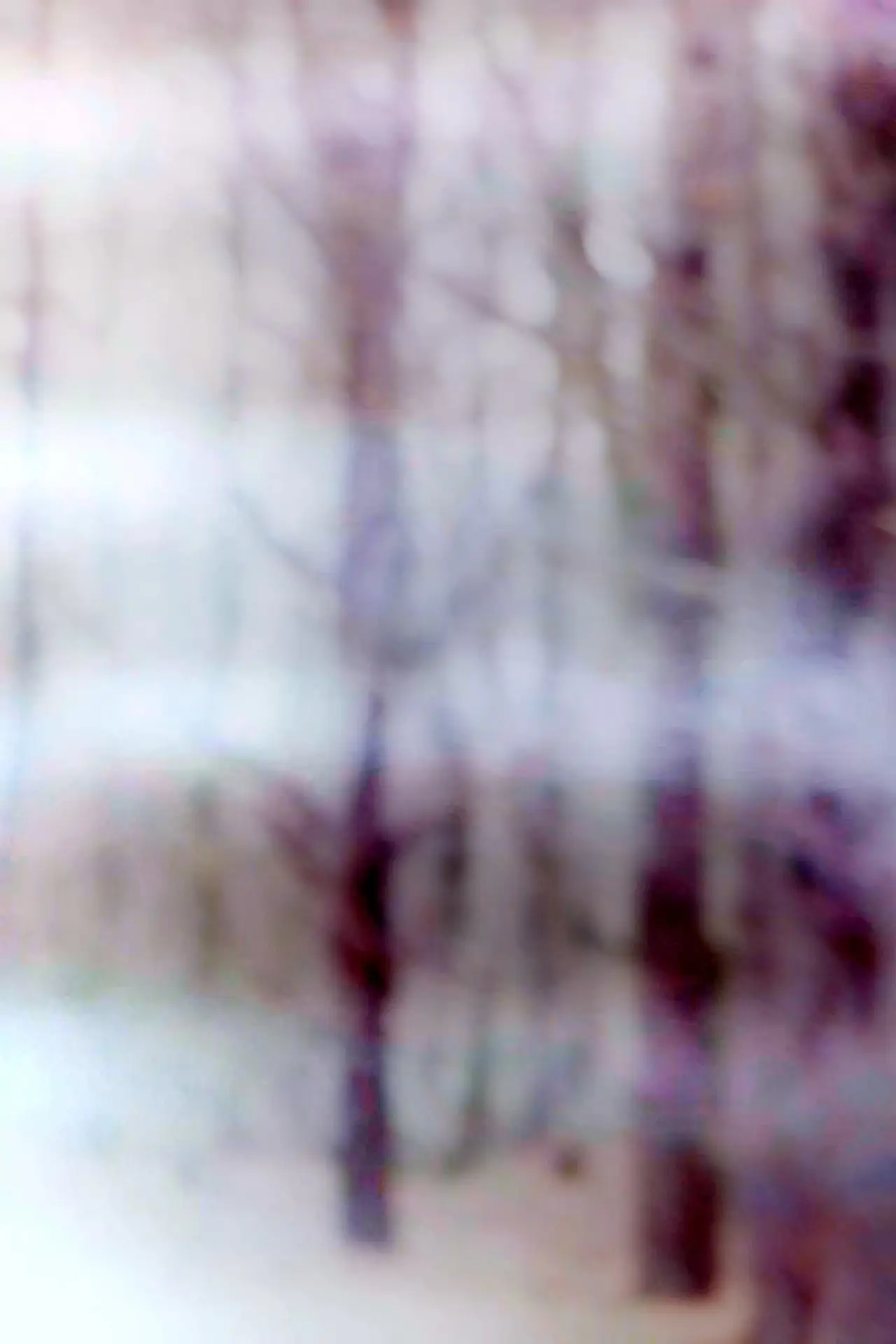 Постер до фільму "i weep for this place that is lost to me forever"