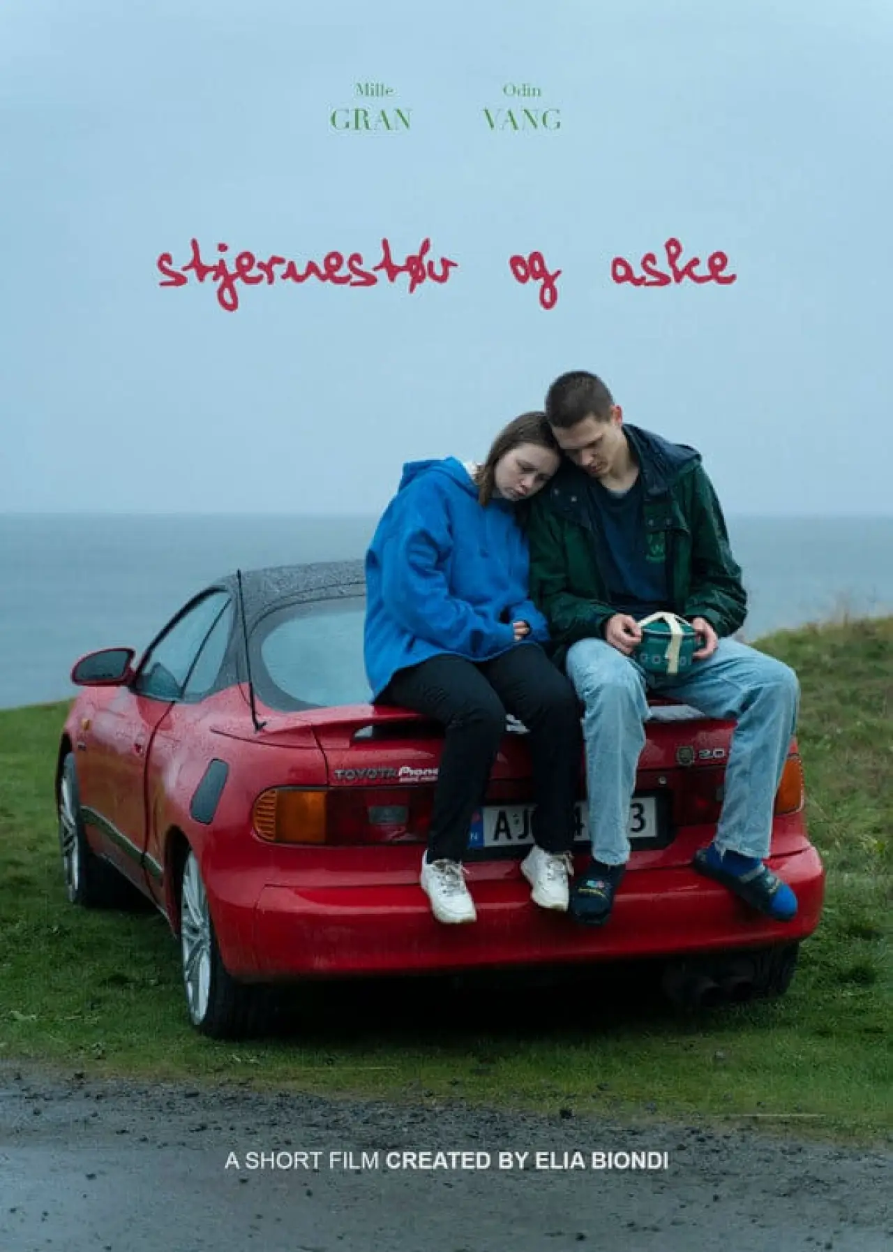 Постер до фільму "Stjernestøv og Aske"