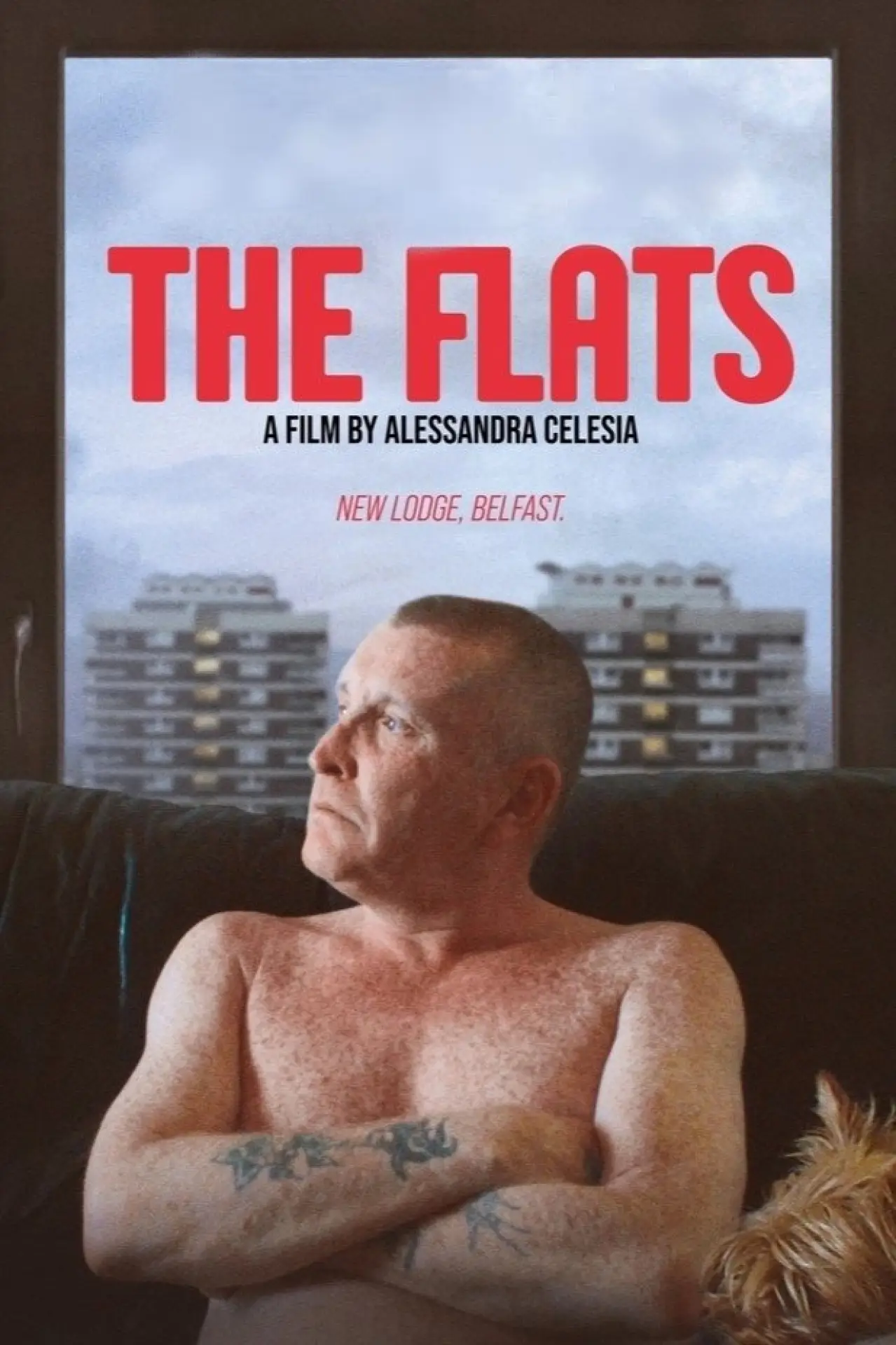 Постер до фільму "The Flats"