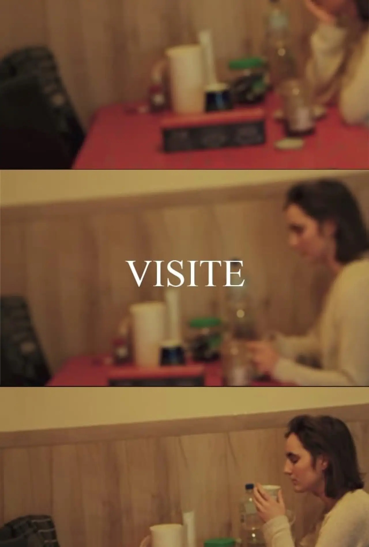 Постер до фільму "VISIT"