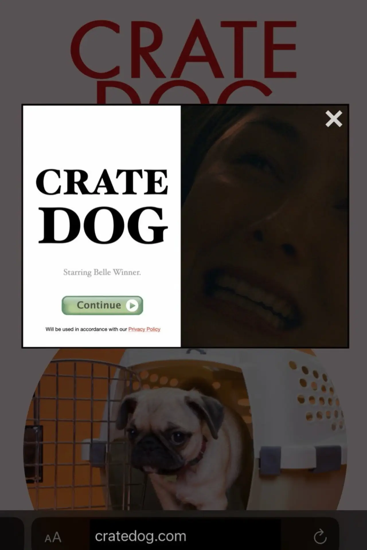 Постер до фільму "Crate Dog"