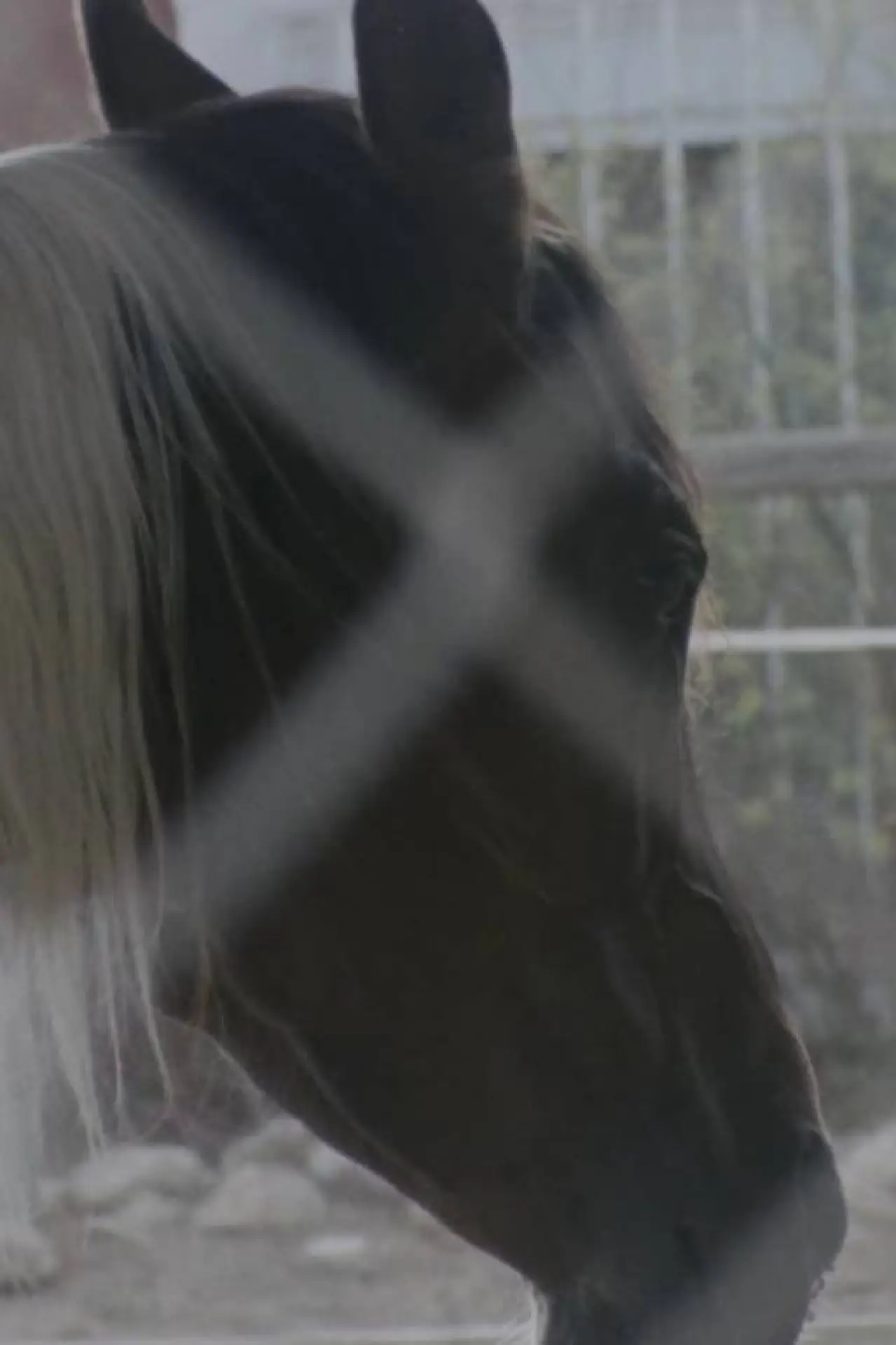 Постер до фільму "Horse Girl"